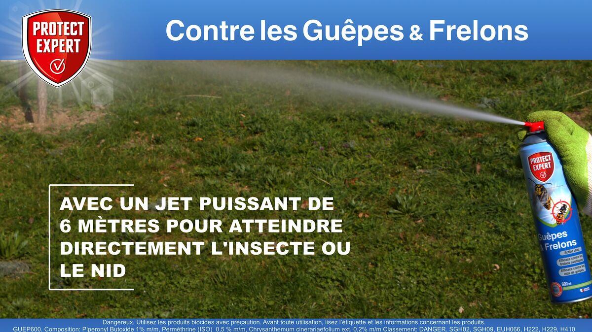 Aérosol insecticide aérosol guêpes et frelons, Guep600n PROTECT EXPERT, 0,6 l - 5