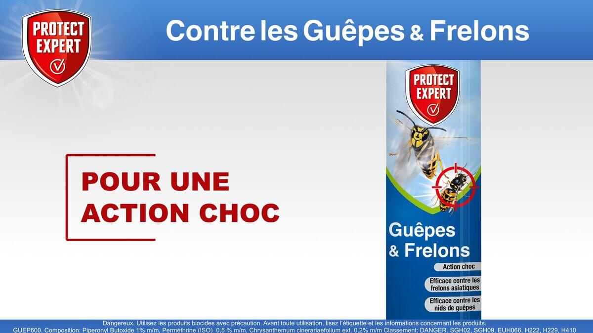 Aérosol insecticide aérosol guêpes et frelons, Guep600n PROTECT EXPERT, 0,6 l - 6