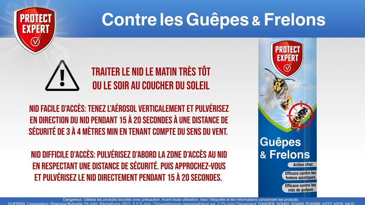 Aérosol insecticide aérosol guêpes et frelons, Guep600n PROTECT EXPERT, 0,6 l - 7