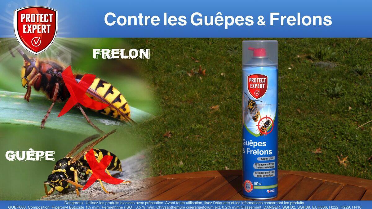 Aérosol insecticide aérosol guêpes et frelons, Guep600n PROTECT EXPERT, 0,6 l - 8