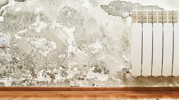 Produits durcisseur minéralisant