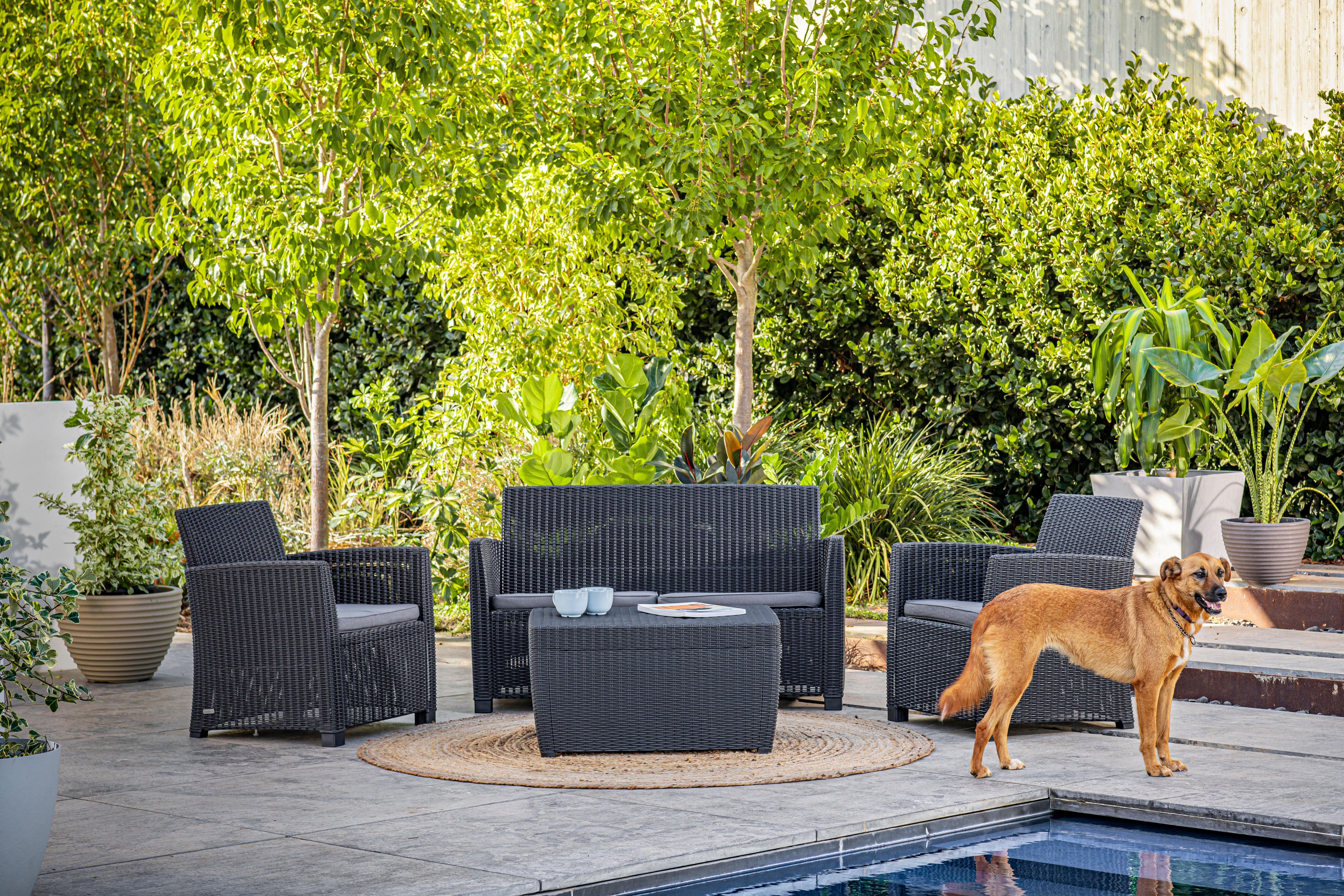 Salotto da giardino per 4 persone antracite Mia KETER con cuscini in poliestere grigio - 5