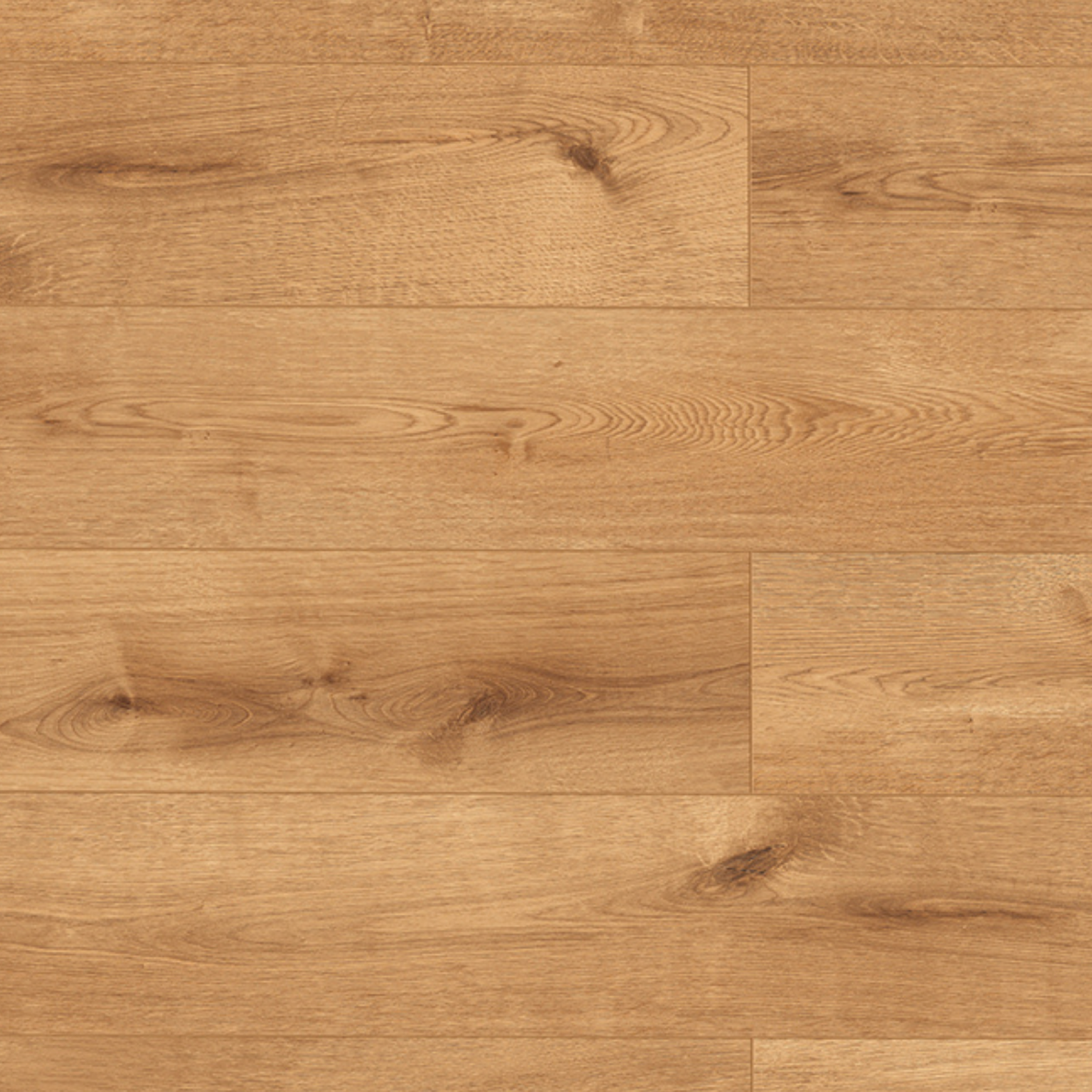 Panele podłogowe laminowane AC5 8 mm Artens Argusto struktura naturalnego drewno