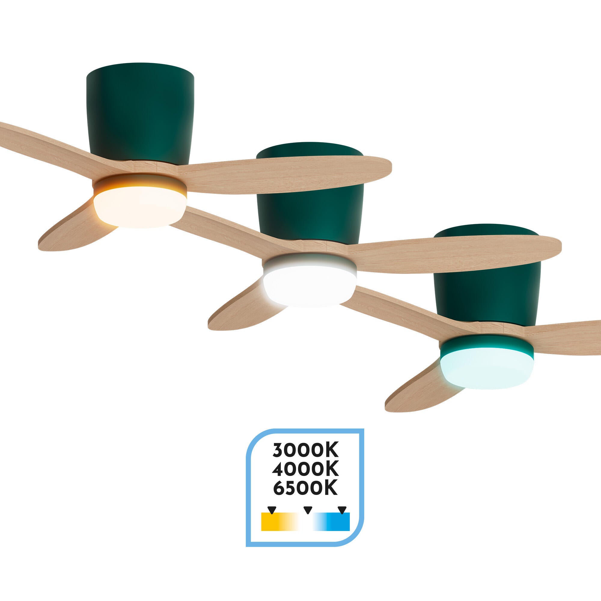 Ventilador de techo con luz silencioso DC Arte Confort Phoebe S Verde Fsc verde 92.8 cm - 5