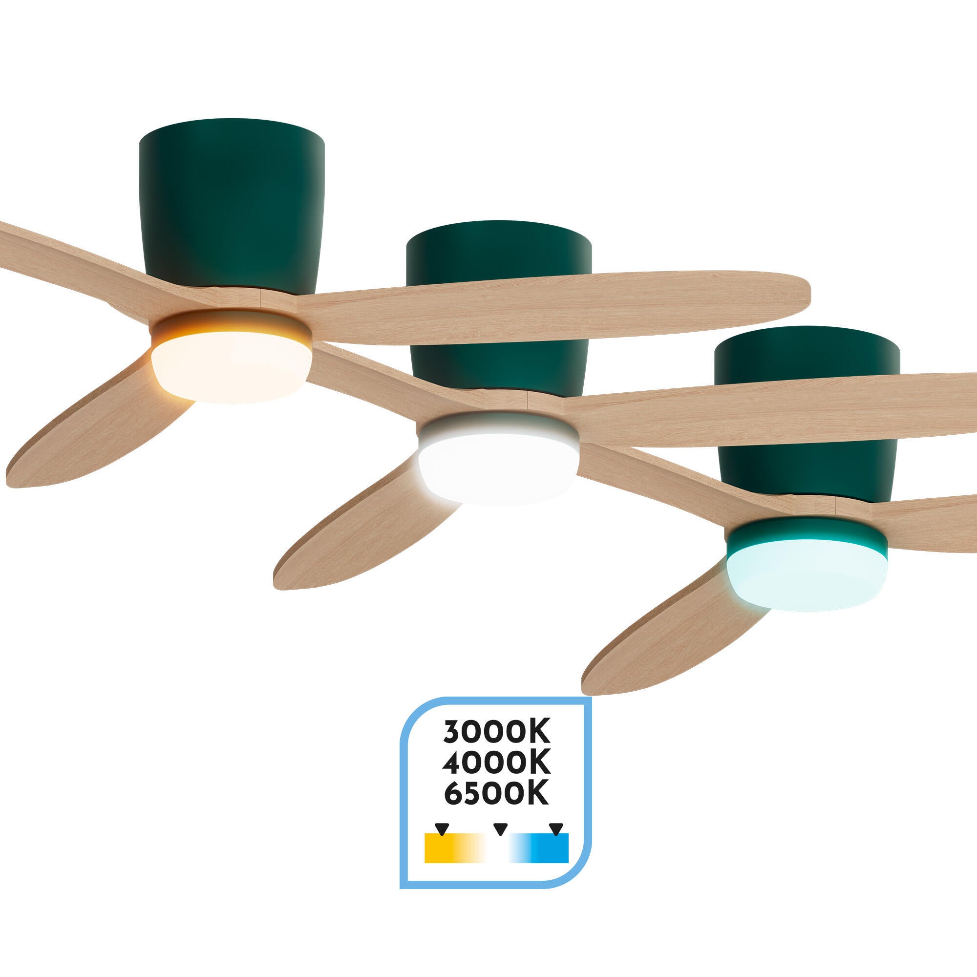 Ventilador de techo con luz silencioso DC Arte Confort Phoebe M Verde Fsc verde 122 cm - 5