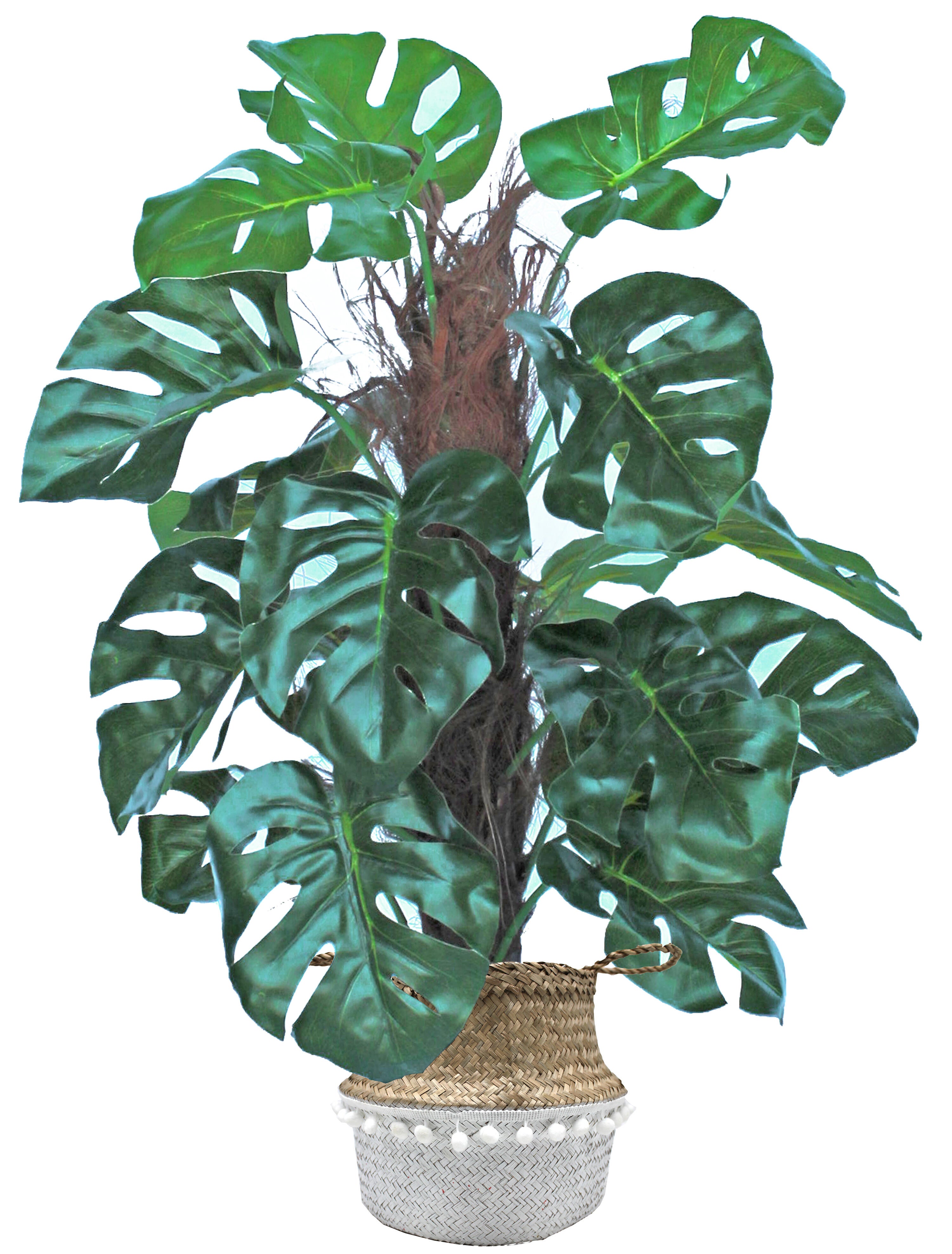 Sinder  Planta Artificial En Maceta De Mimbre De 60X50cm , Leroy Merlin