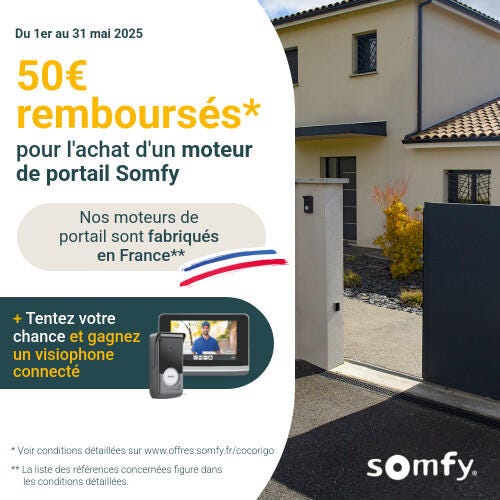Tige / Axe De Rechange Pour Motorisation De Portail Somfy EVOLVIA - Pièce Reconstruite En Acier Dur