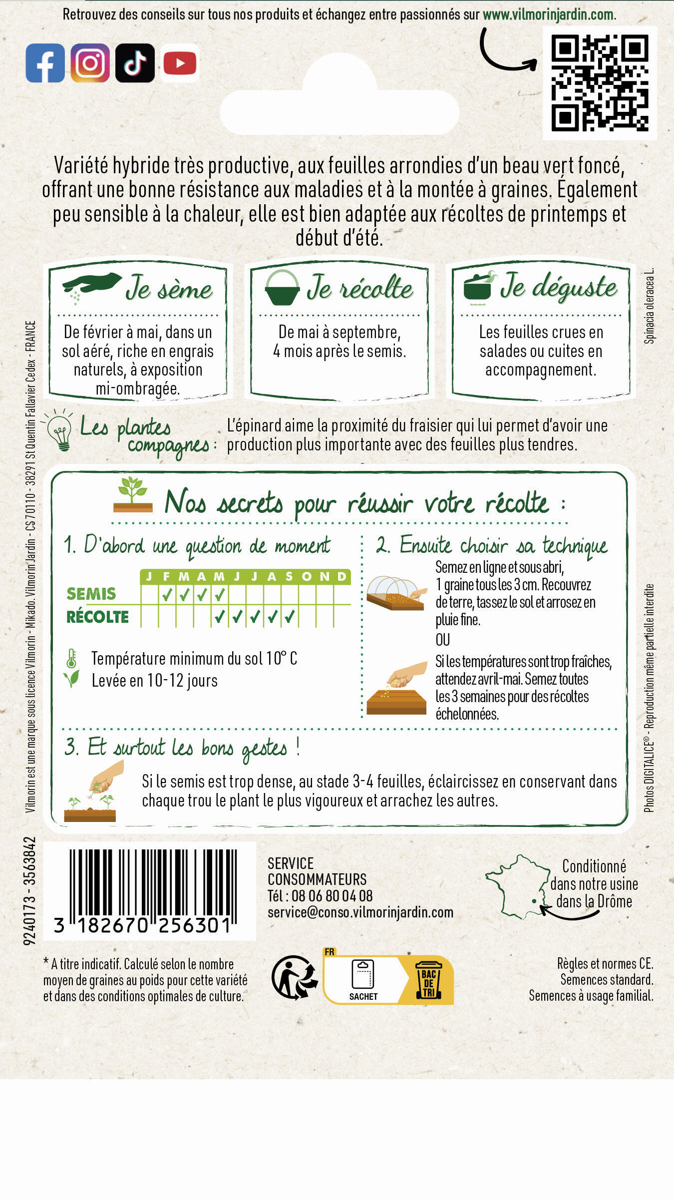 Graines de epinard VILMORIN 15 g - 2