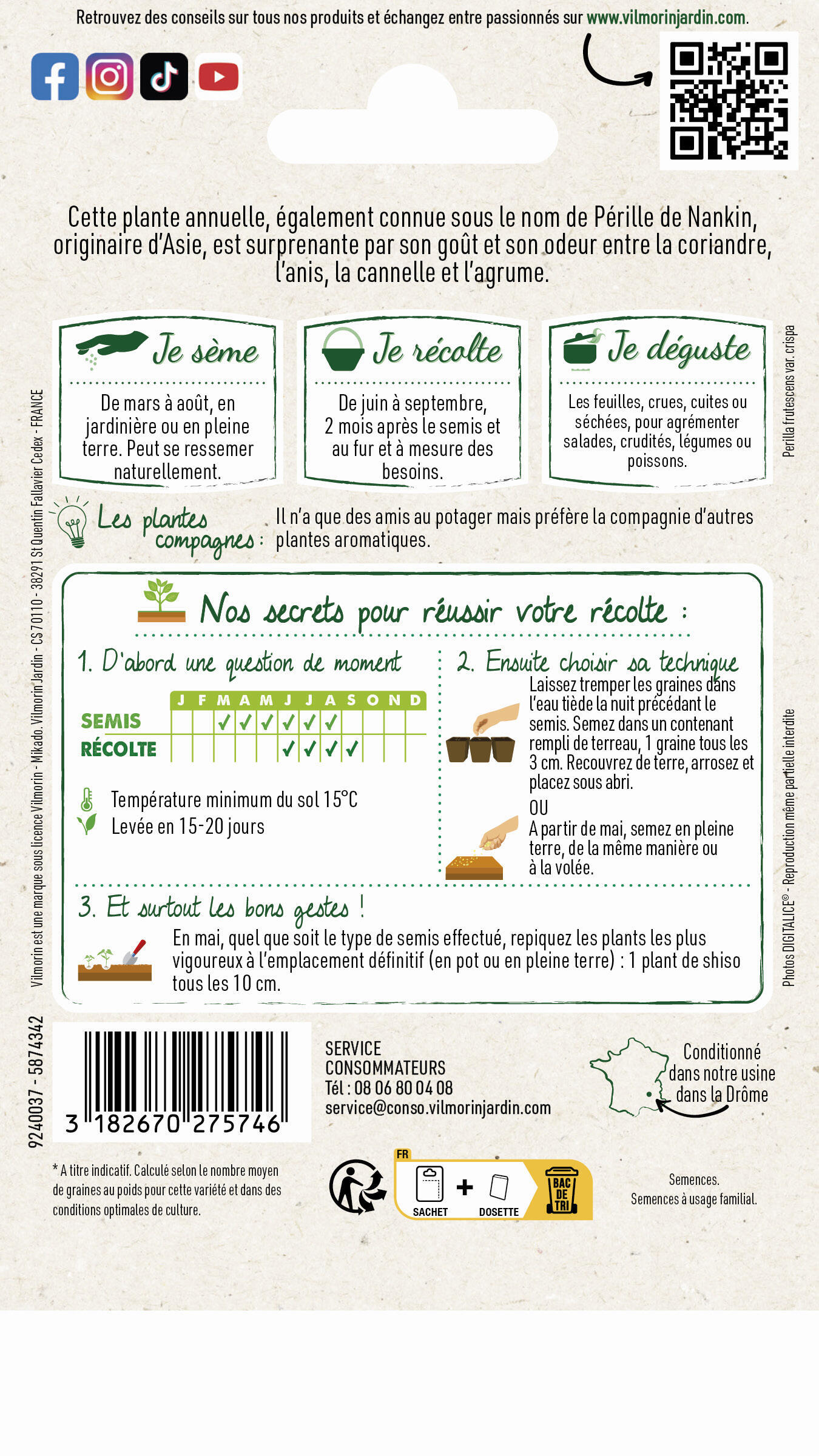 Graine potager Shiso vert VILMORIN - 2