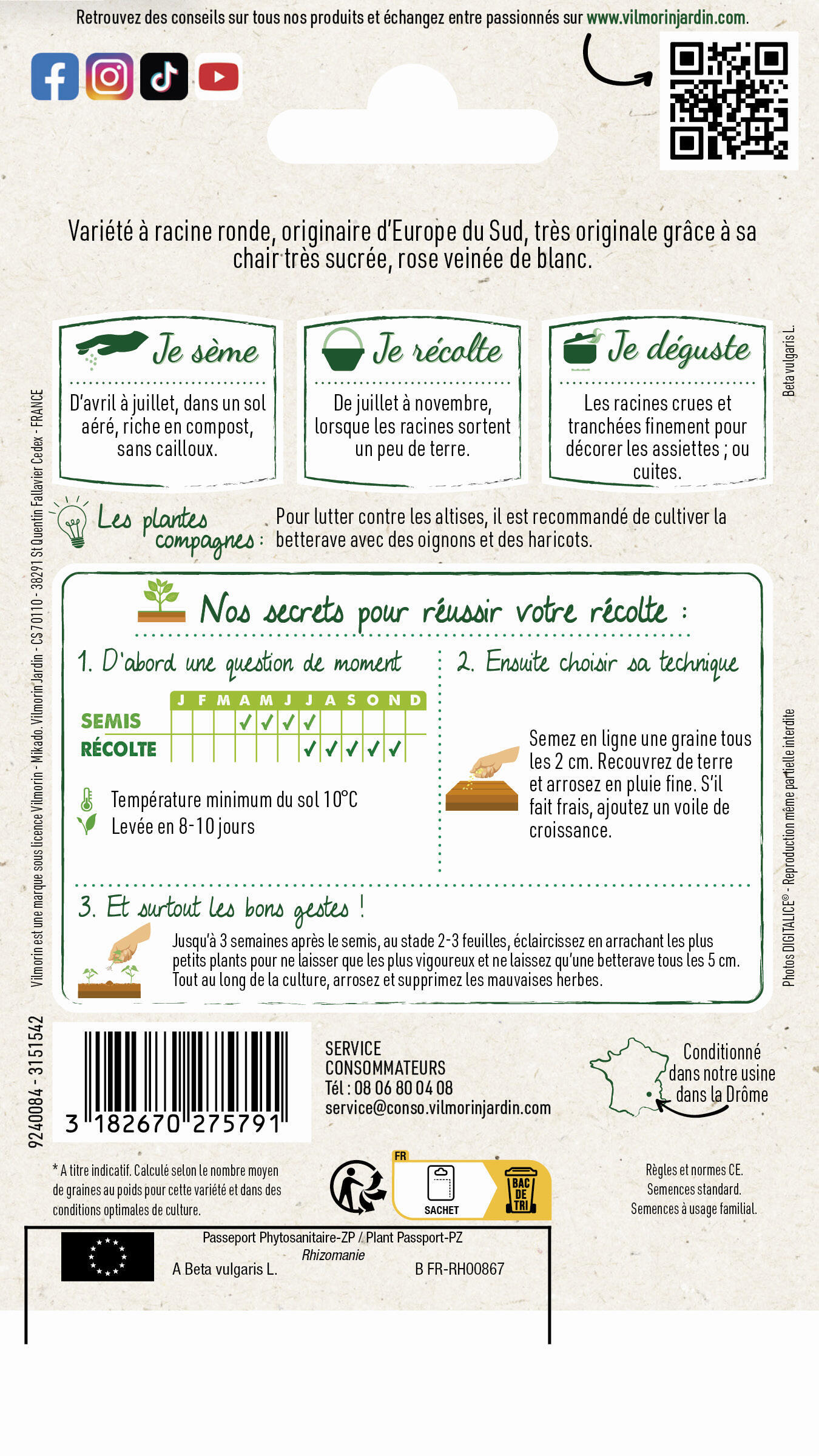Graine potager Betterave chioggia VILMORIN - 2