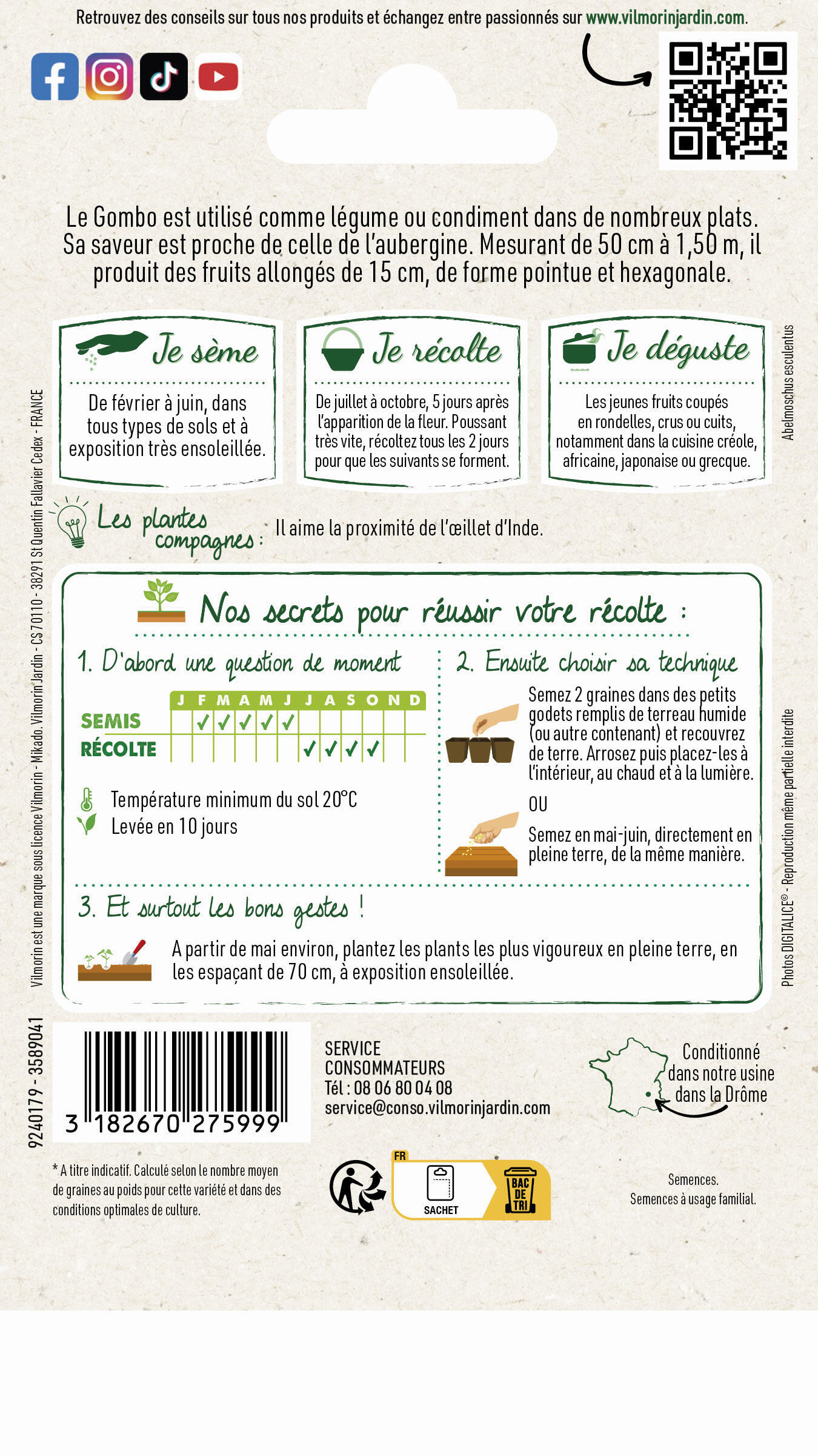 Graine potager Gombo clemson spineless VILMORIN - 2