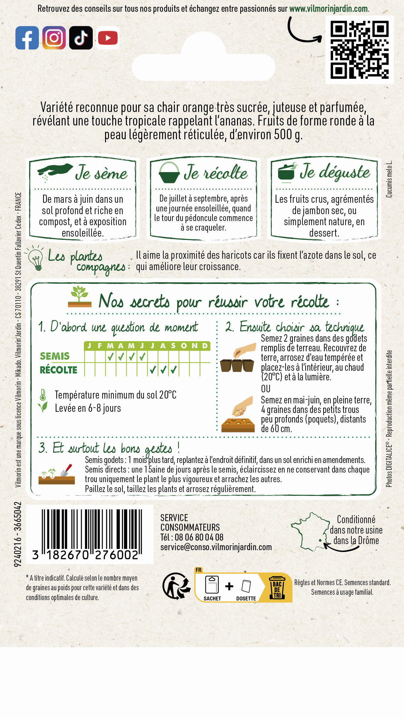 Graine potager Melon ananas d'Amérique VILMORIN - 2