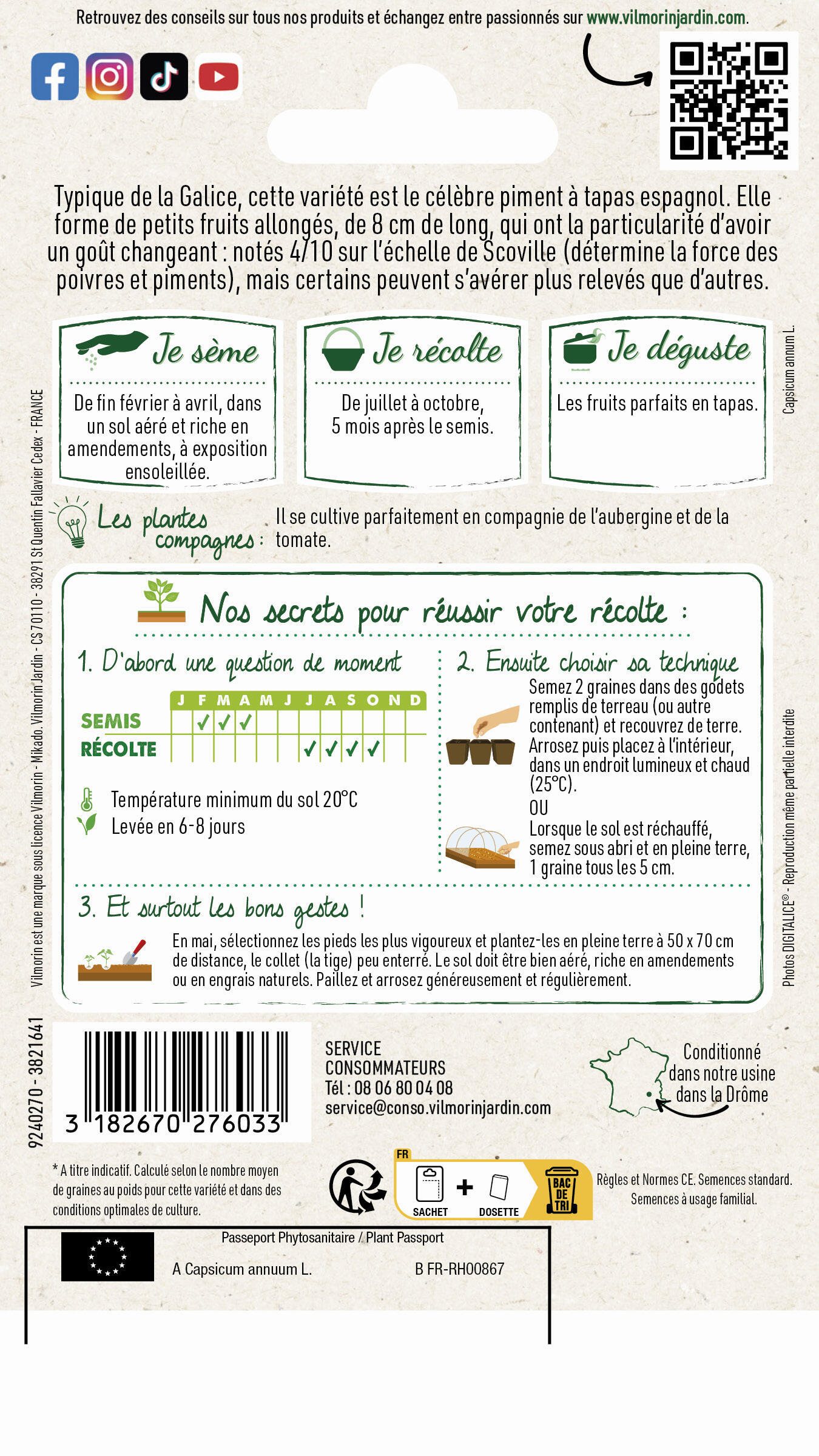 Graine potager Poivron padrón VILMORIN - 2