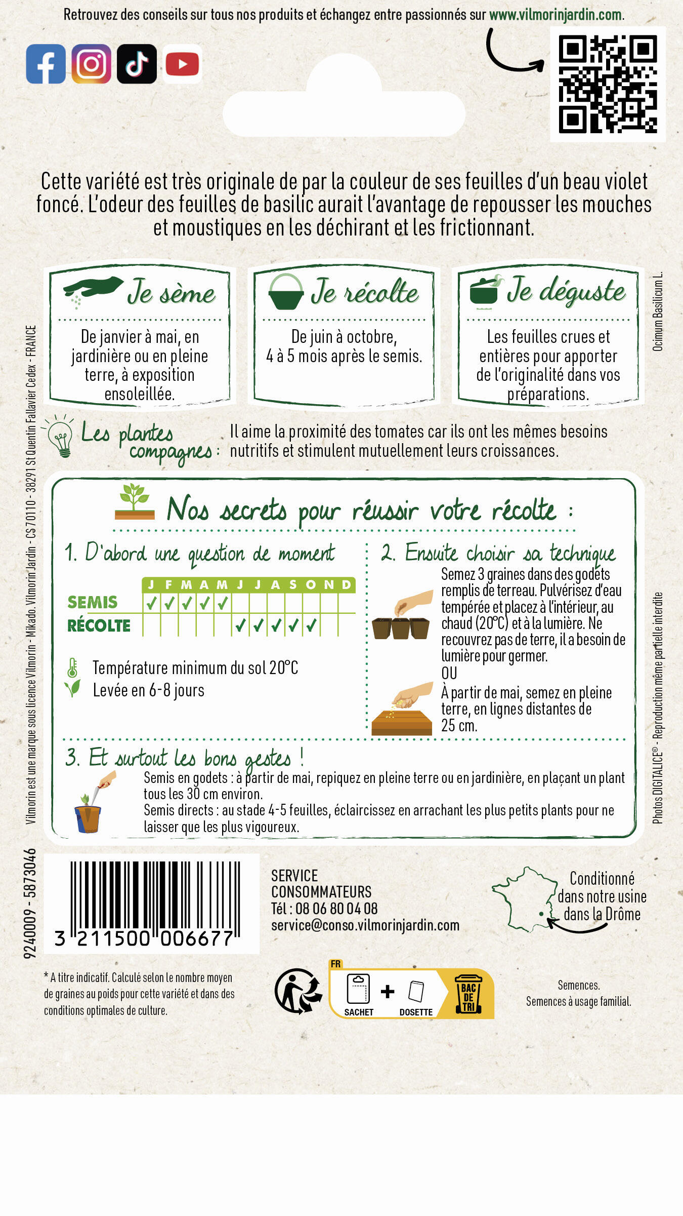 Graines de basilic VILMORIN 1 g - 2