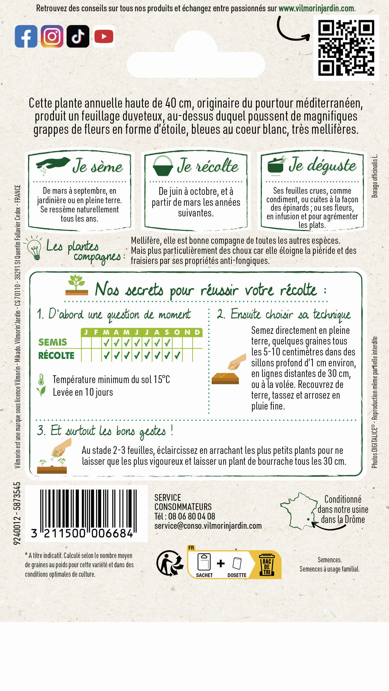 Graines de bourrache VILMORIN 1 g - 2
