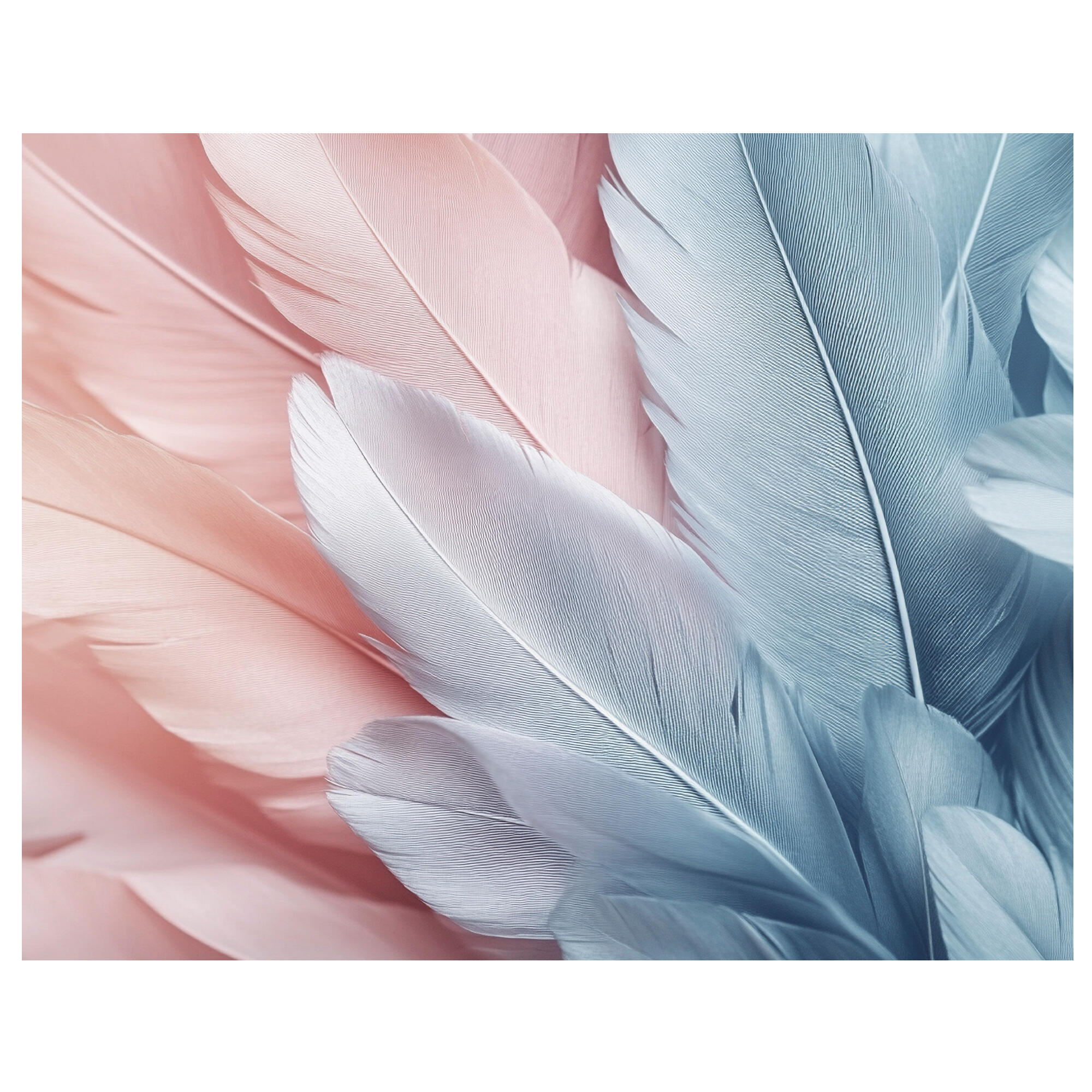 Tapa de contador plumas 37x47 cm