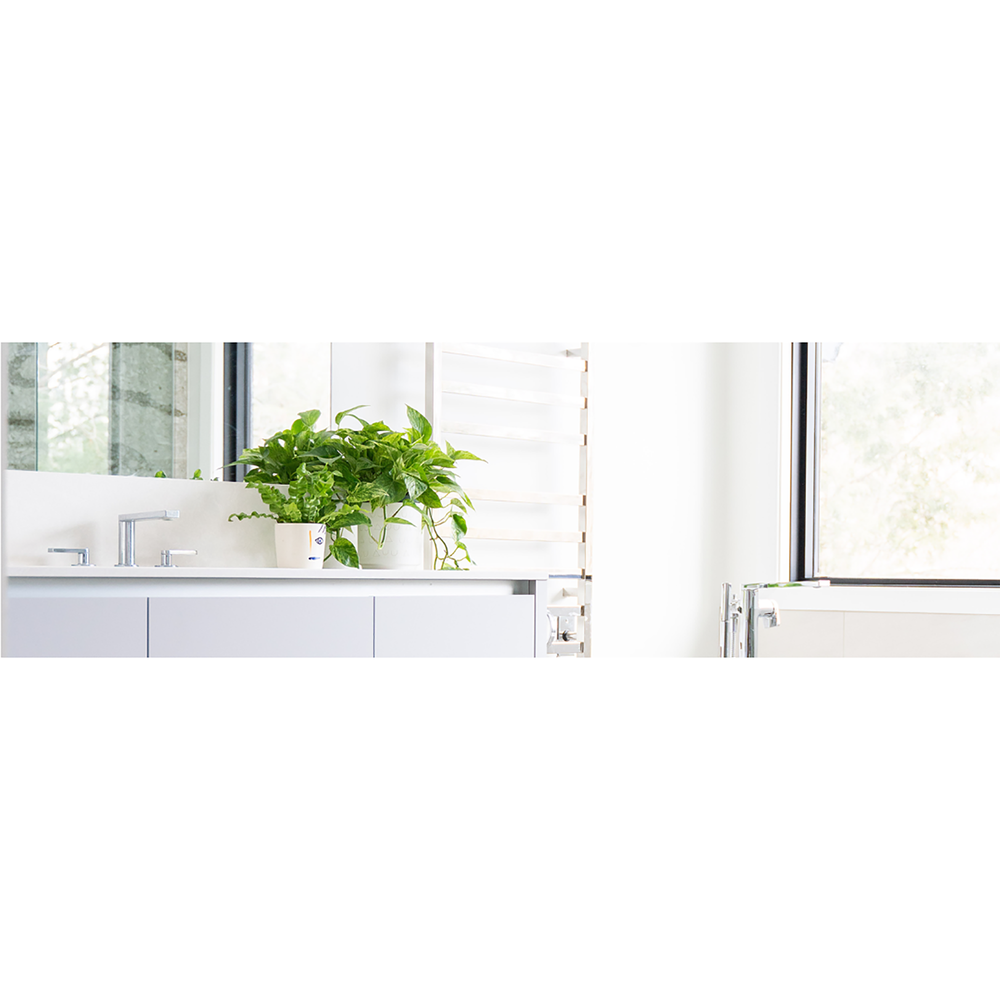 Pintura de interior Lisomat BEISSIER color blanco mate profundo 15L para paredes y techos - 5