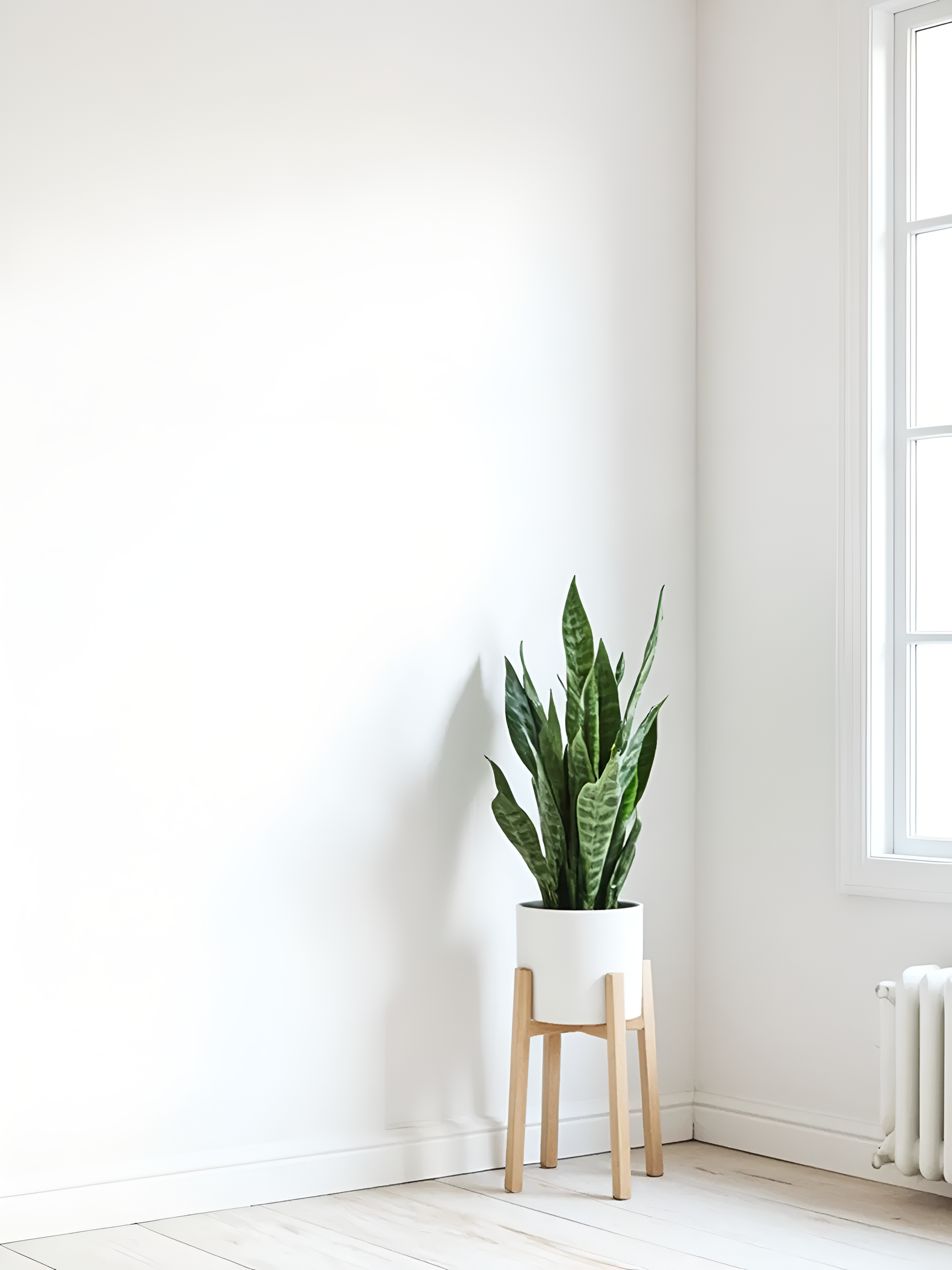 Papel pintado tnt aplicación cola en pared liso forro basic cubre gotelé 120 gr blanco rasch 53cmx10.05m lavable