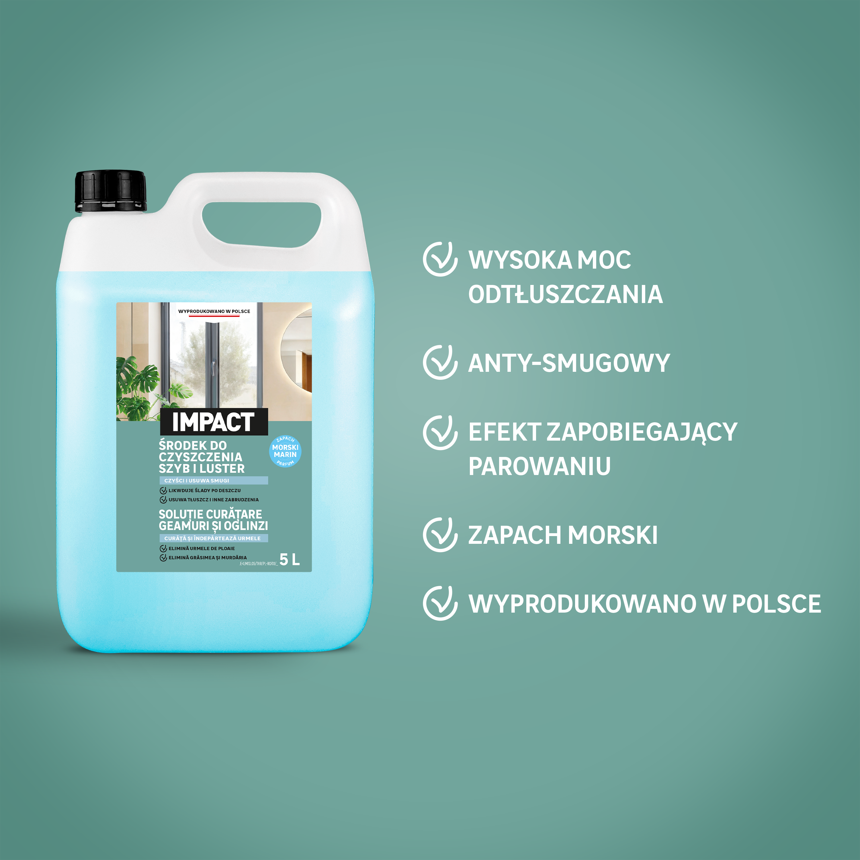 Środek czyszczący do szyb i luster 5 l Impact