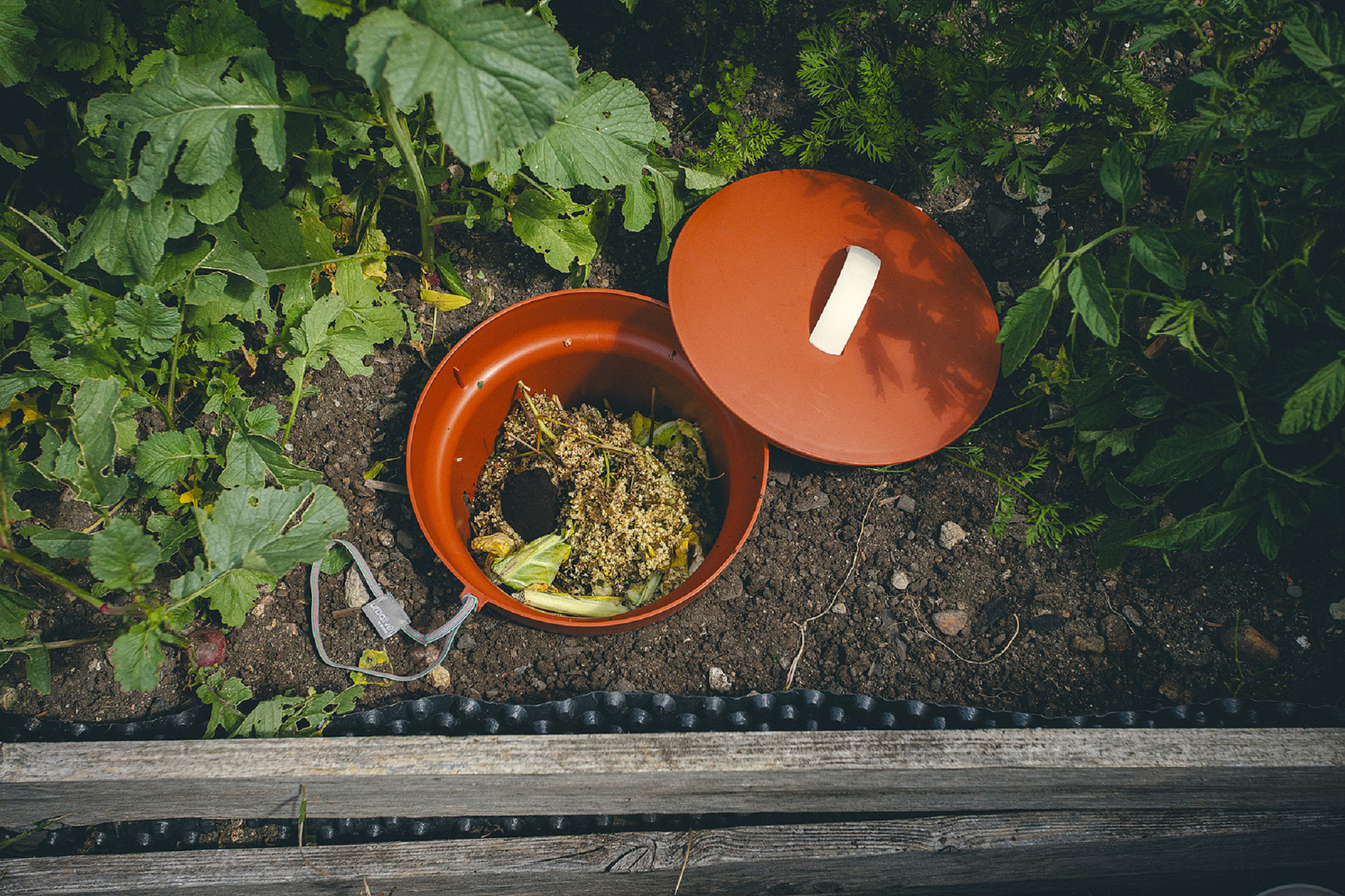 Vermicompost de polipropileno de 12 litros - 2