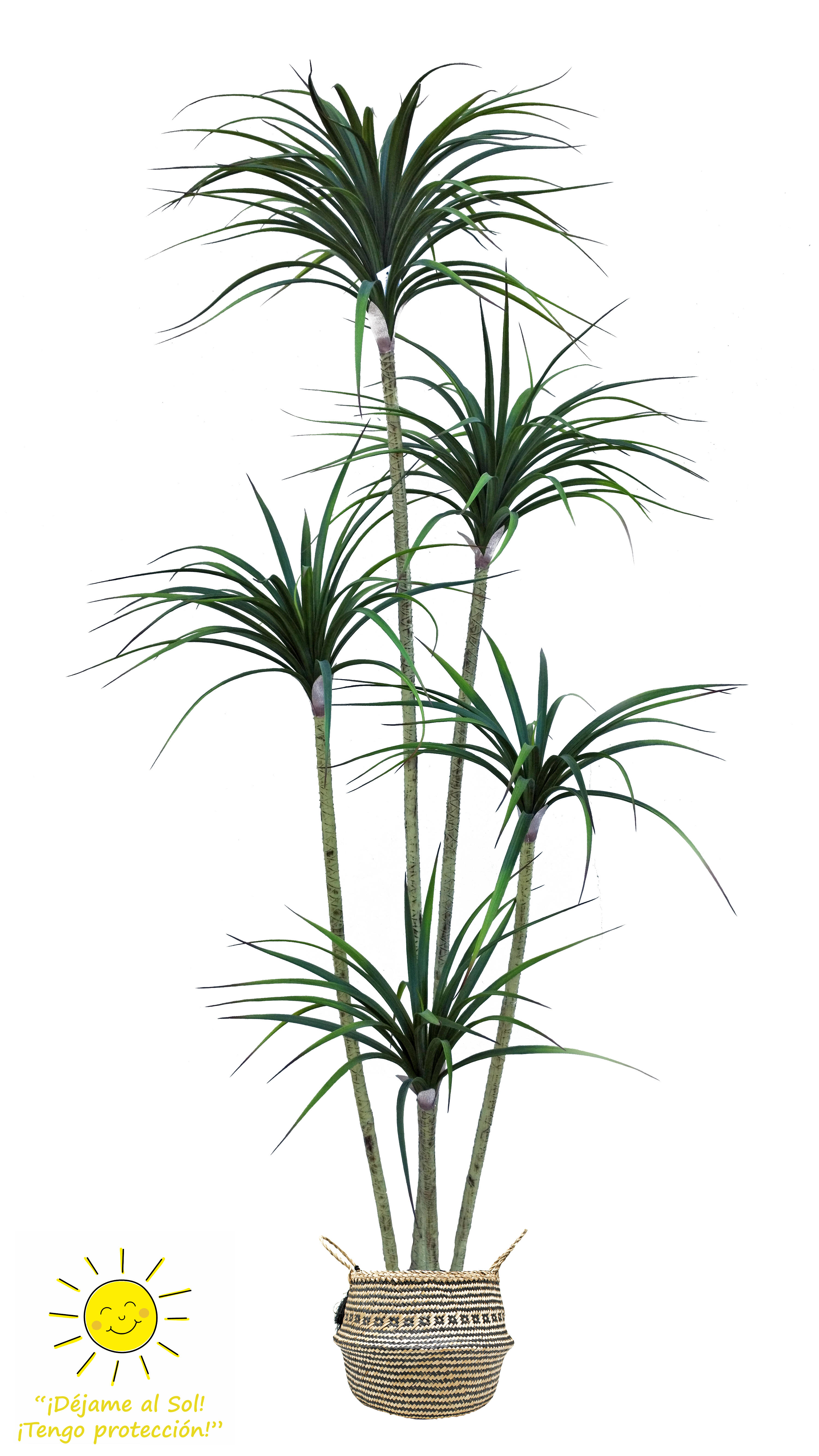 Planta artificial pack yuca 5 tallos en maceta de mimbre de 200x22cm