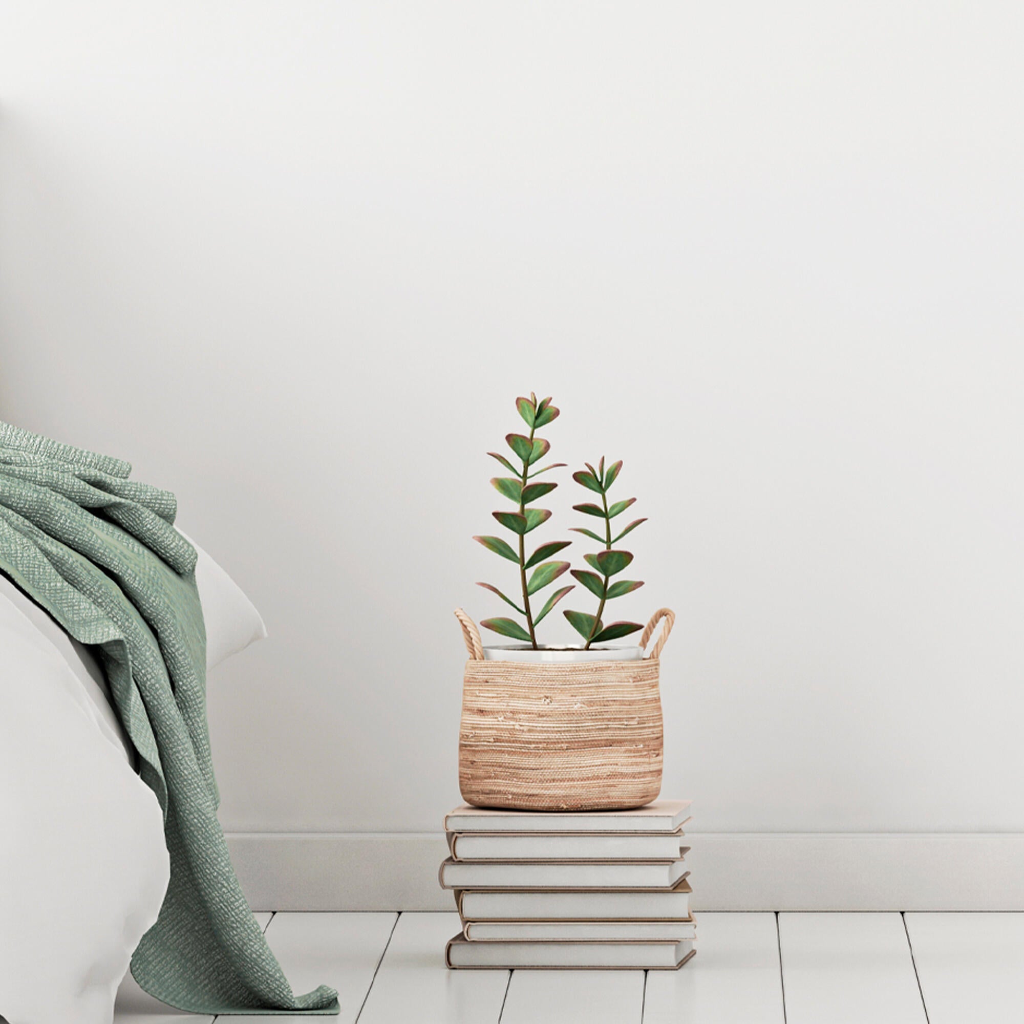 Fondo para efecto decorativo liso OSAKA color blanco cisne  2.5 litros - 3