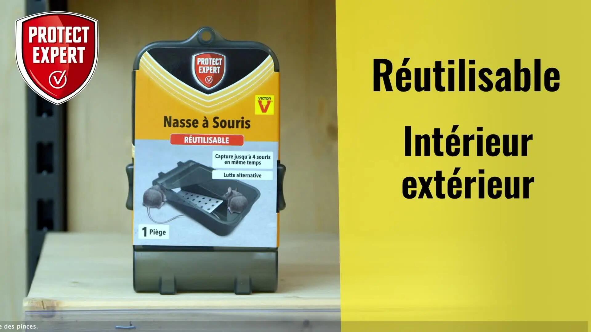 Piège antisouris PROTECT EXPERT, 1 piège - 6