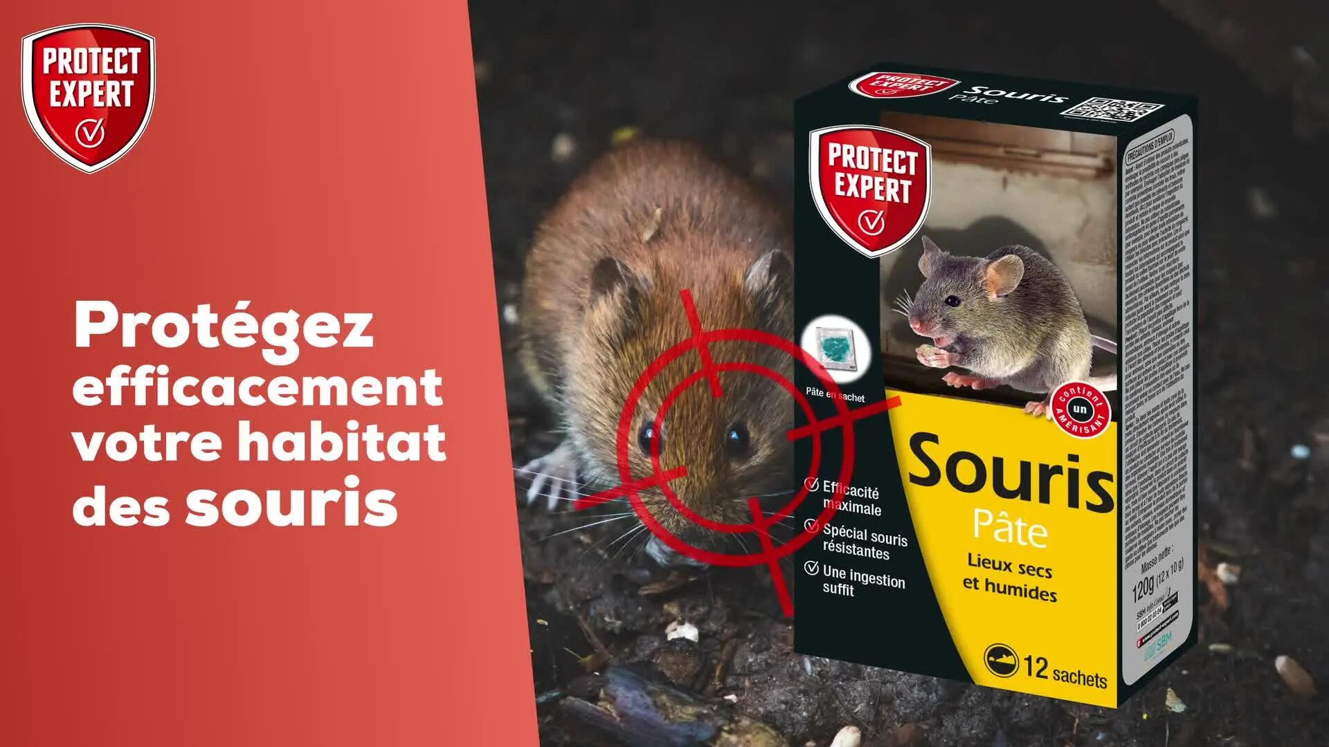 Pâte antisouris PROTECT EXPERT, 120g - 6
