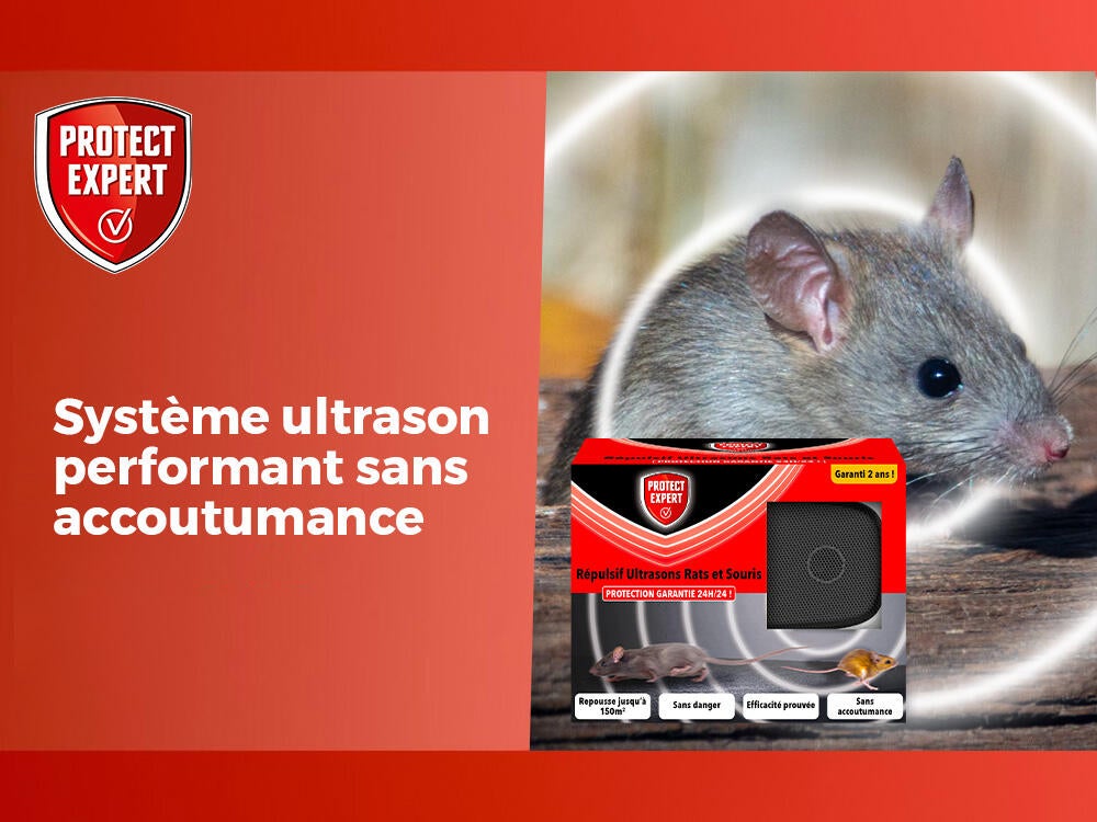Répulsif ultrasons antirats et souris PROTECT EXPERT, 1 piège - 3