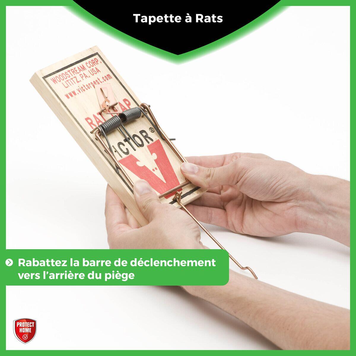 Tapette antirats bois PROTECT EXPERT - 4