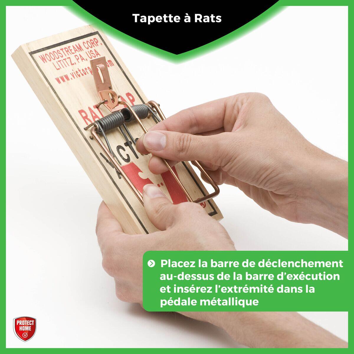 Tapette antirats bois PROTECT EXPERT - 3