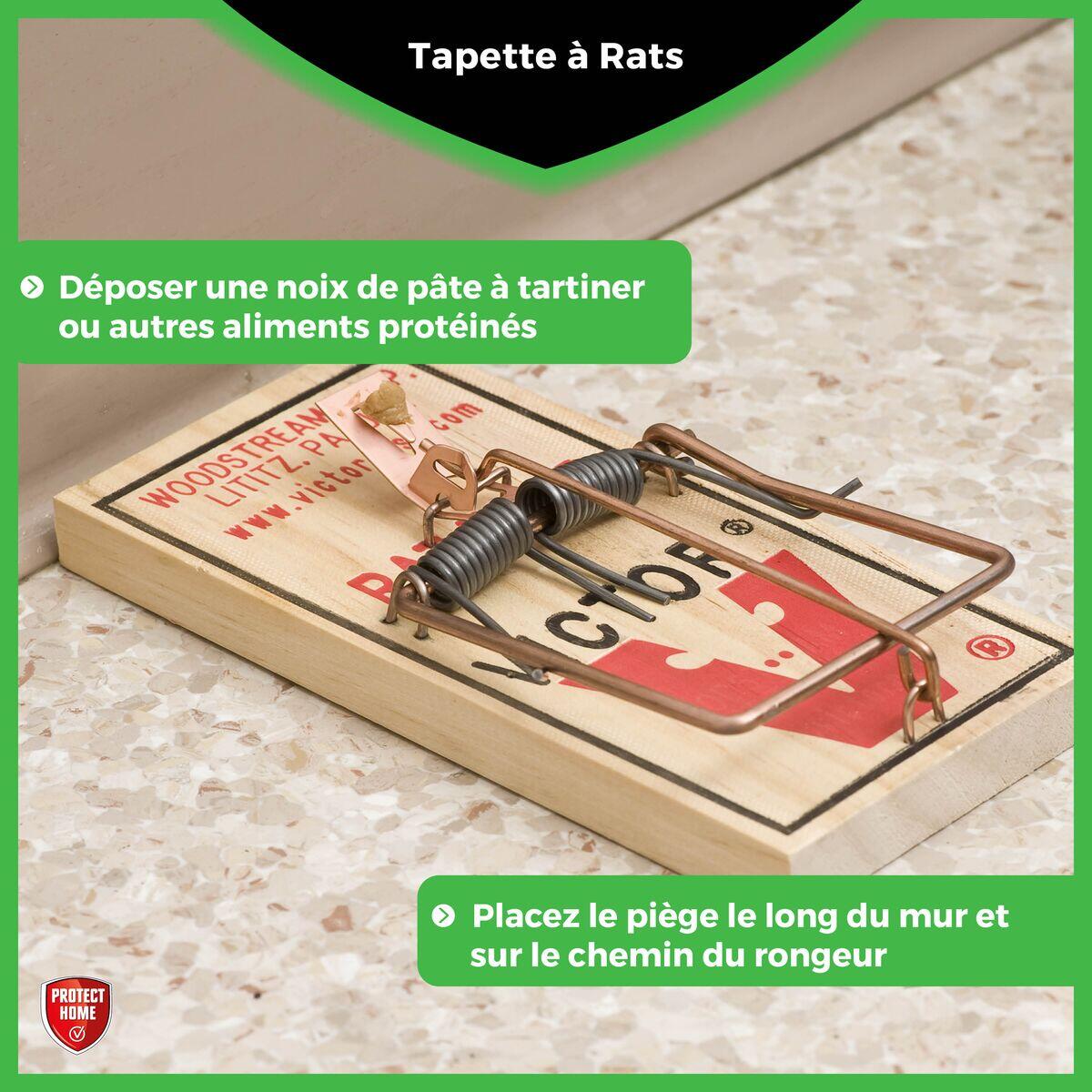 Tapette antirats bois PROTECT EXPERT - 2