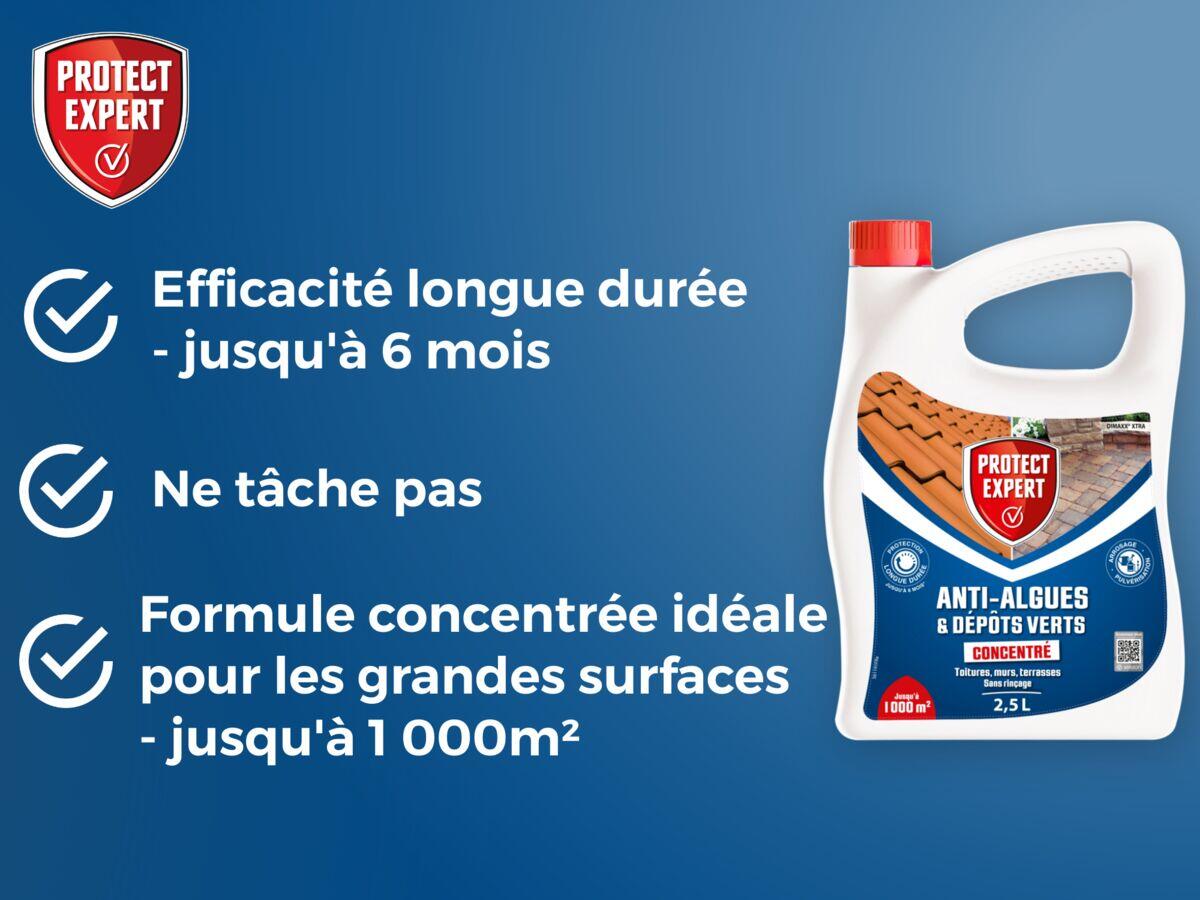 Anti-Algues Dépôts Verts - Concentré - Toitures Murs Terrasses 2,5L - 2