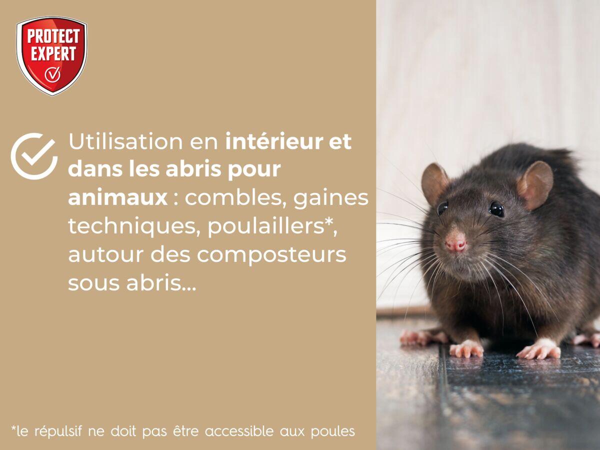 Répulsif antirats et souris PROTECT EXPERT, 100g - 4