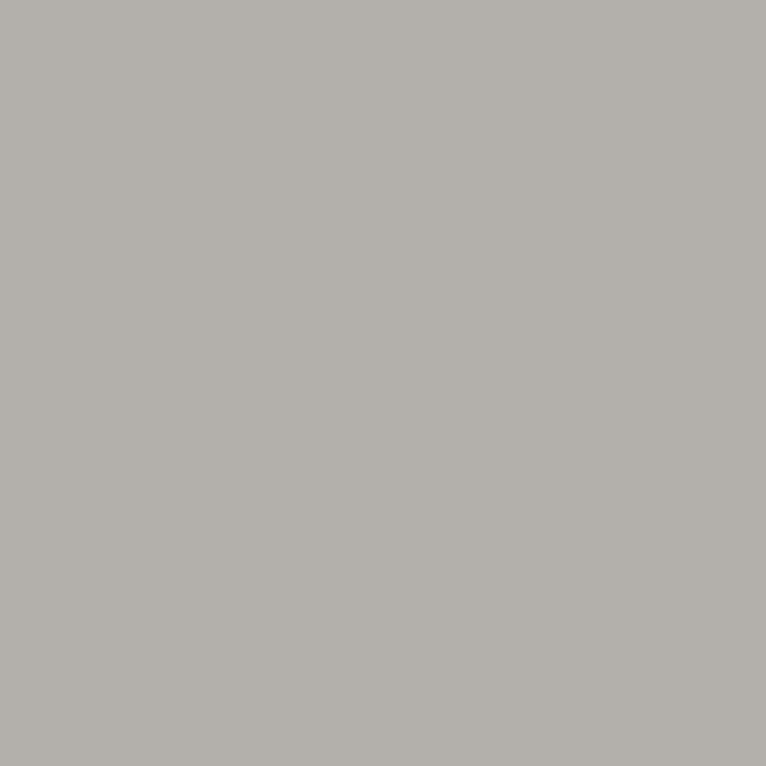 Pintura de interior Renueva TITANLUX color gris opalo mate 4L para paredes y techos - 3