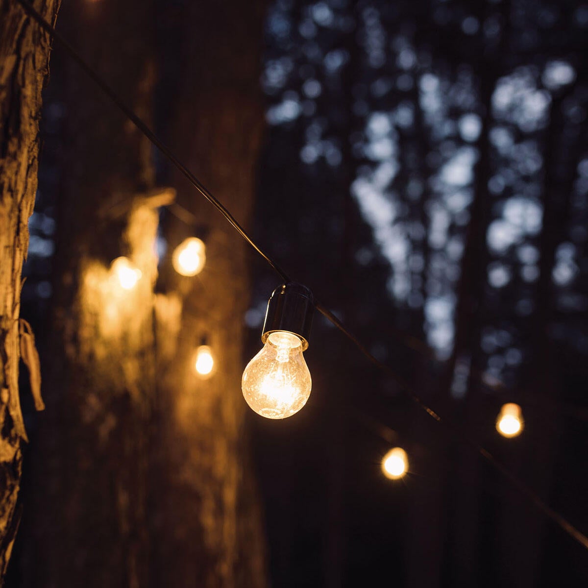 Ghirlanda luminosa Enjoy 5 lampadine , IP44 - 2