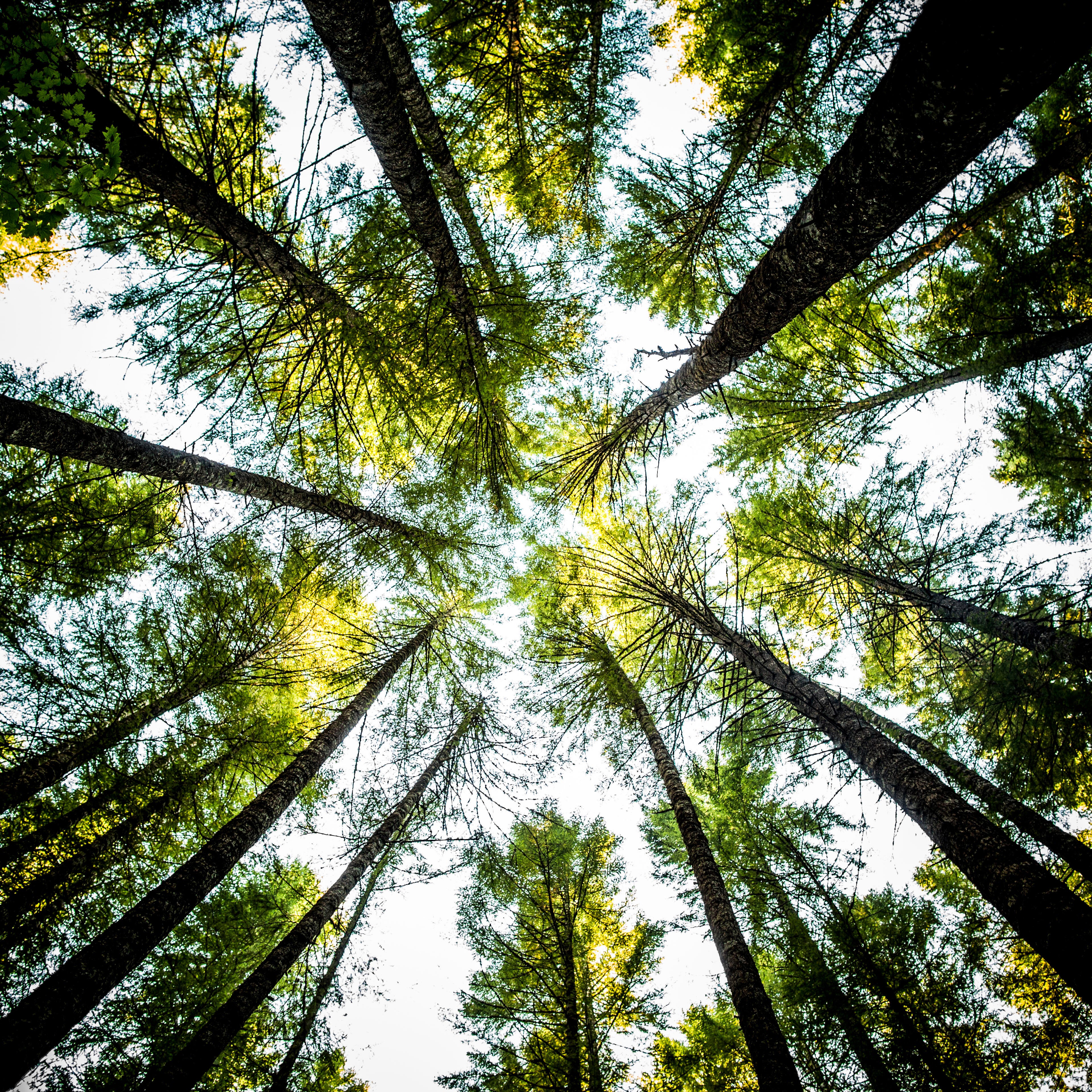 teka-electrodomesticos-sostenible-ovens-a+energy-usps-01 - 1