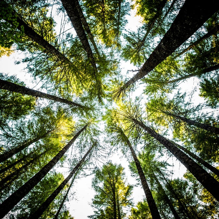 teka-electrodomesticos-sostenible-ovens-a+energy-usps-01