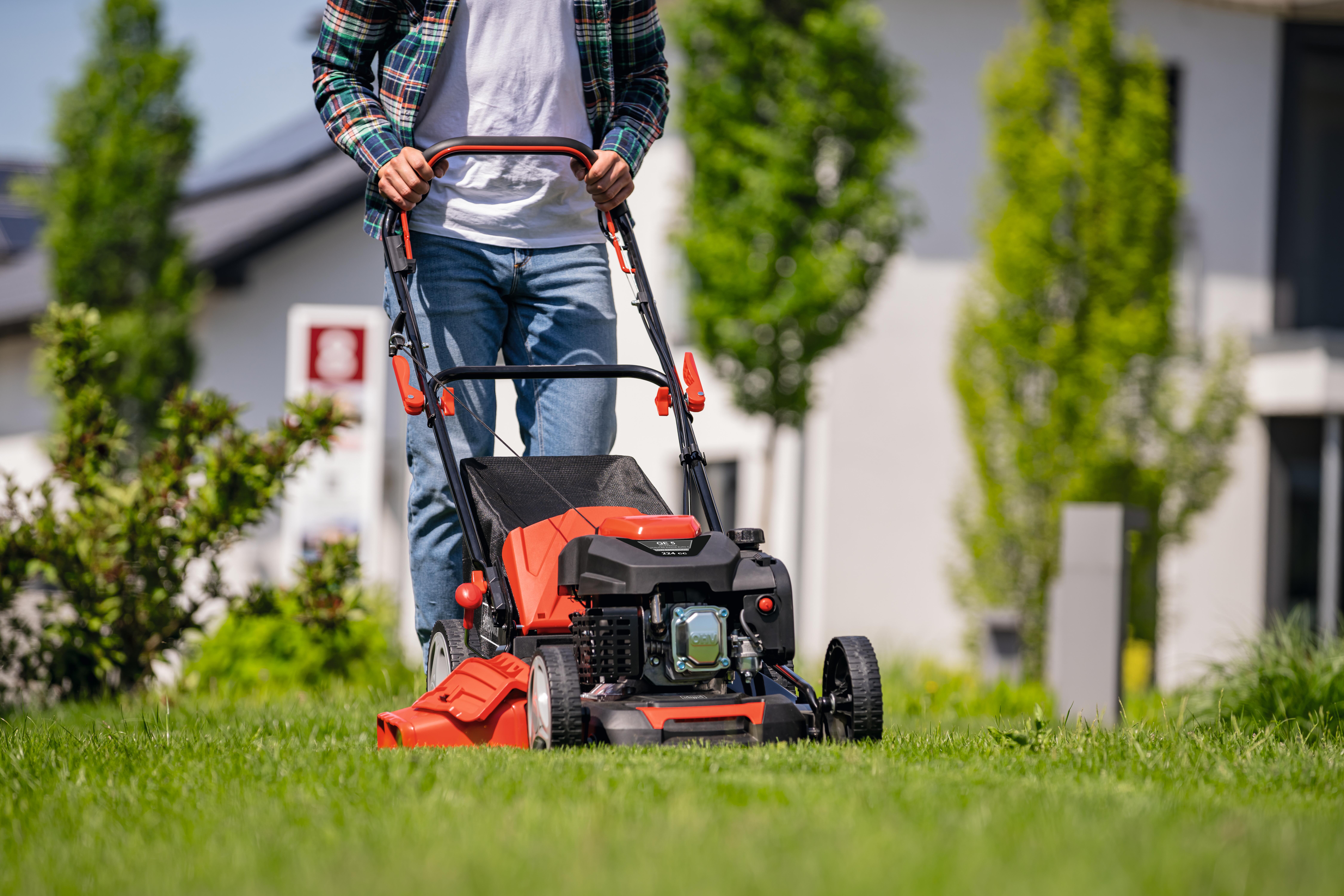 94079294 - caractéristiques  - 0