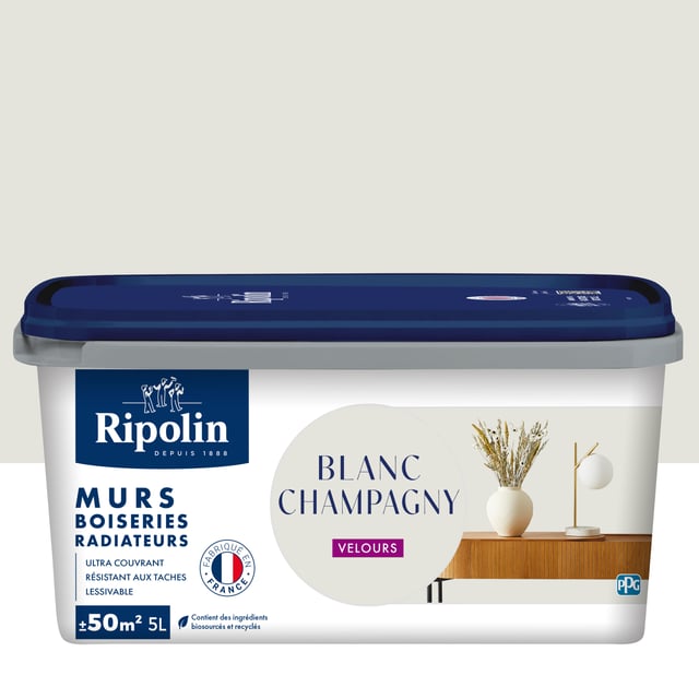 Peinture mur, boiserie, radiateur blanc champagny velours RIPOLIN , 5L