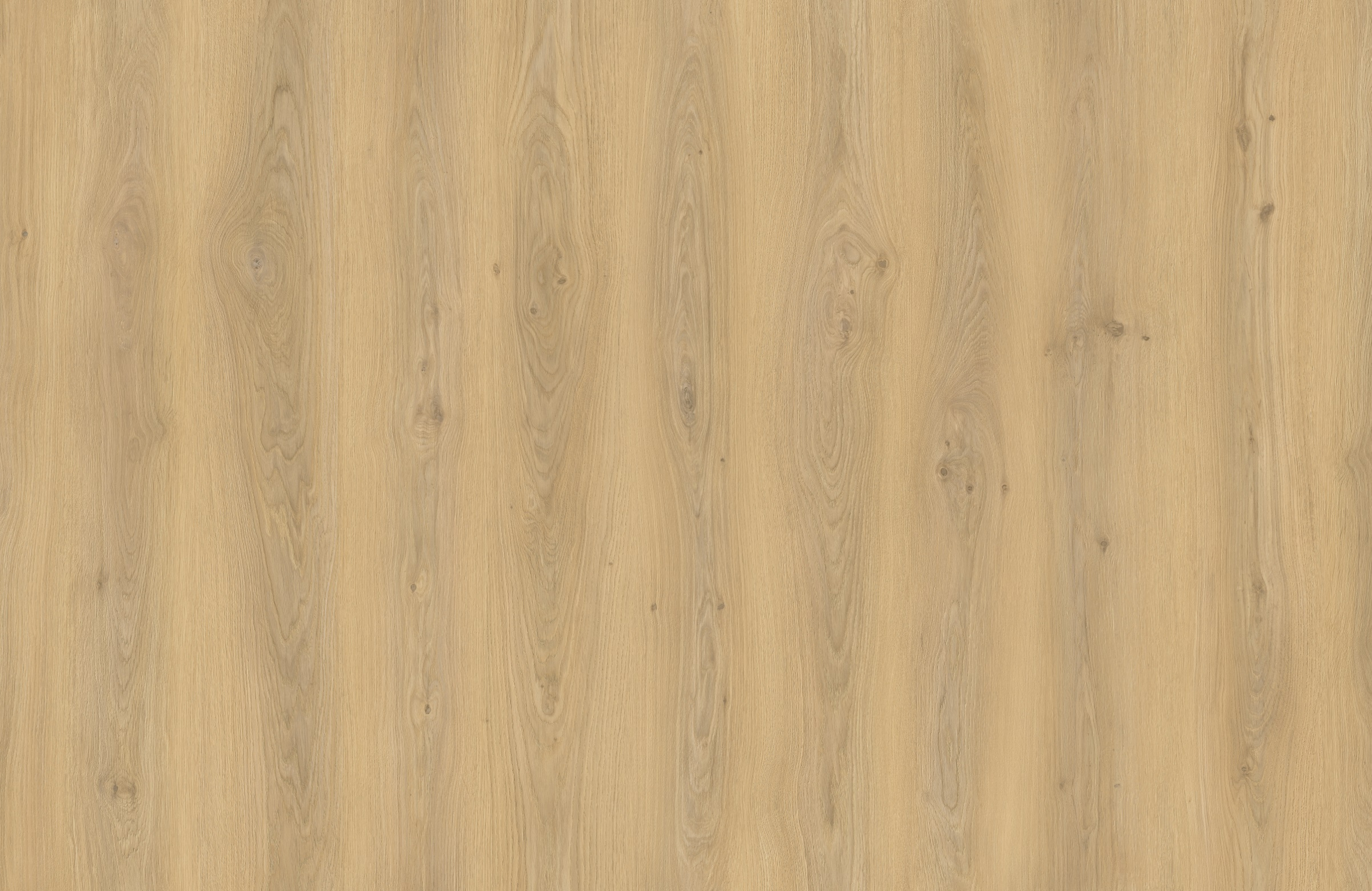 Pavimento laminado sem bisel 7,8 mm AC5 MIRA - 2