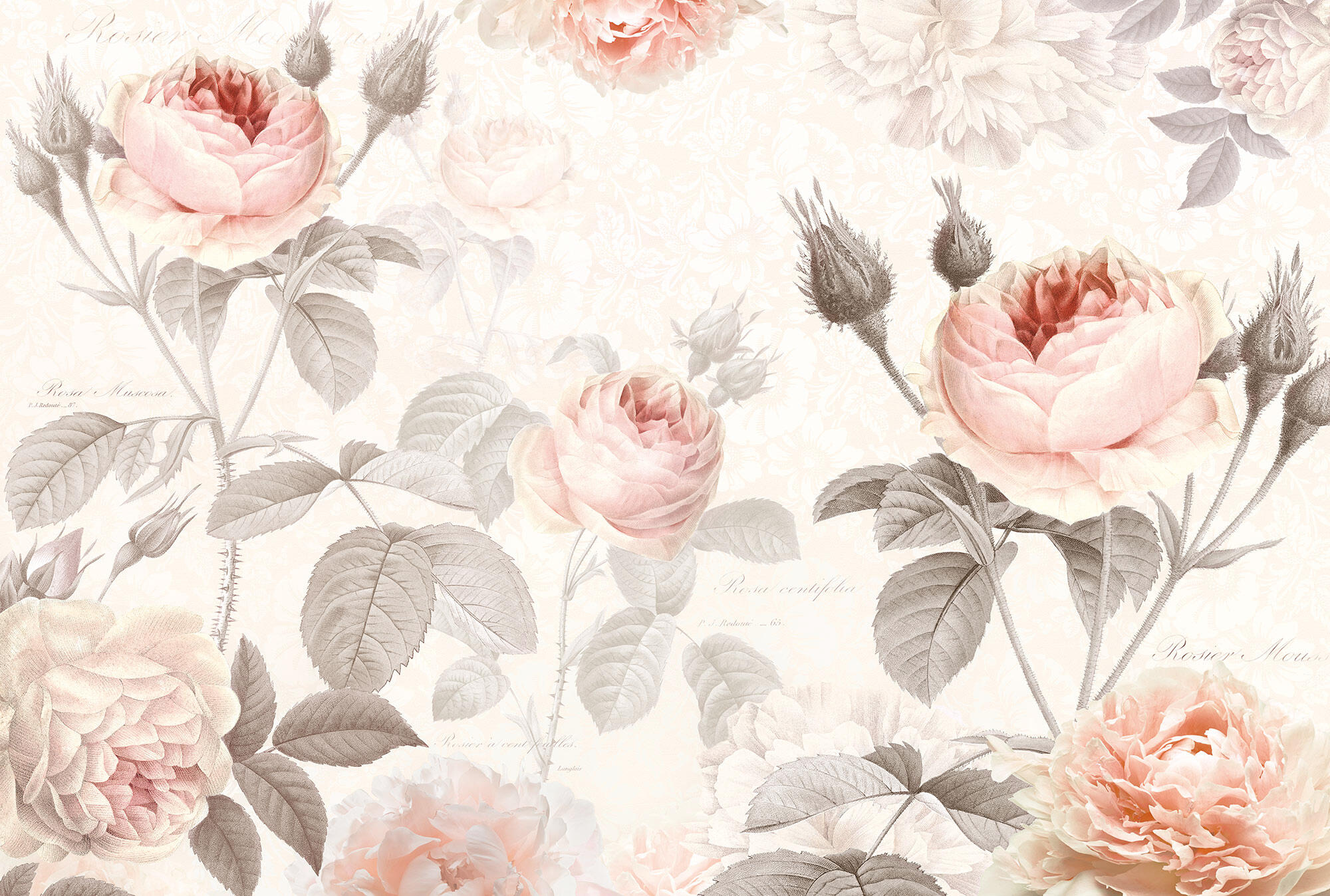 Mural papel liso lavable naturaleza La Maison rosa 368 x 248 cm KOMAR - 5