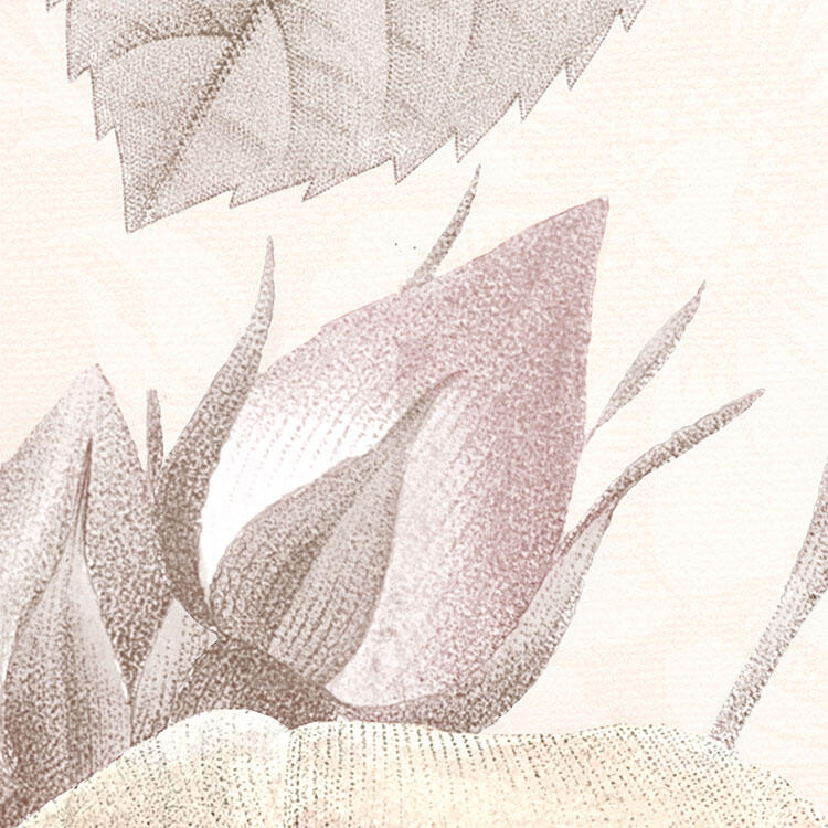 Mural papel liso lavable naturaleza La Maison rosa 368 x 248 cm KOMAR - 3