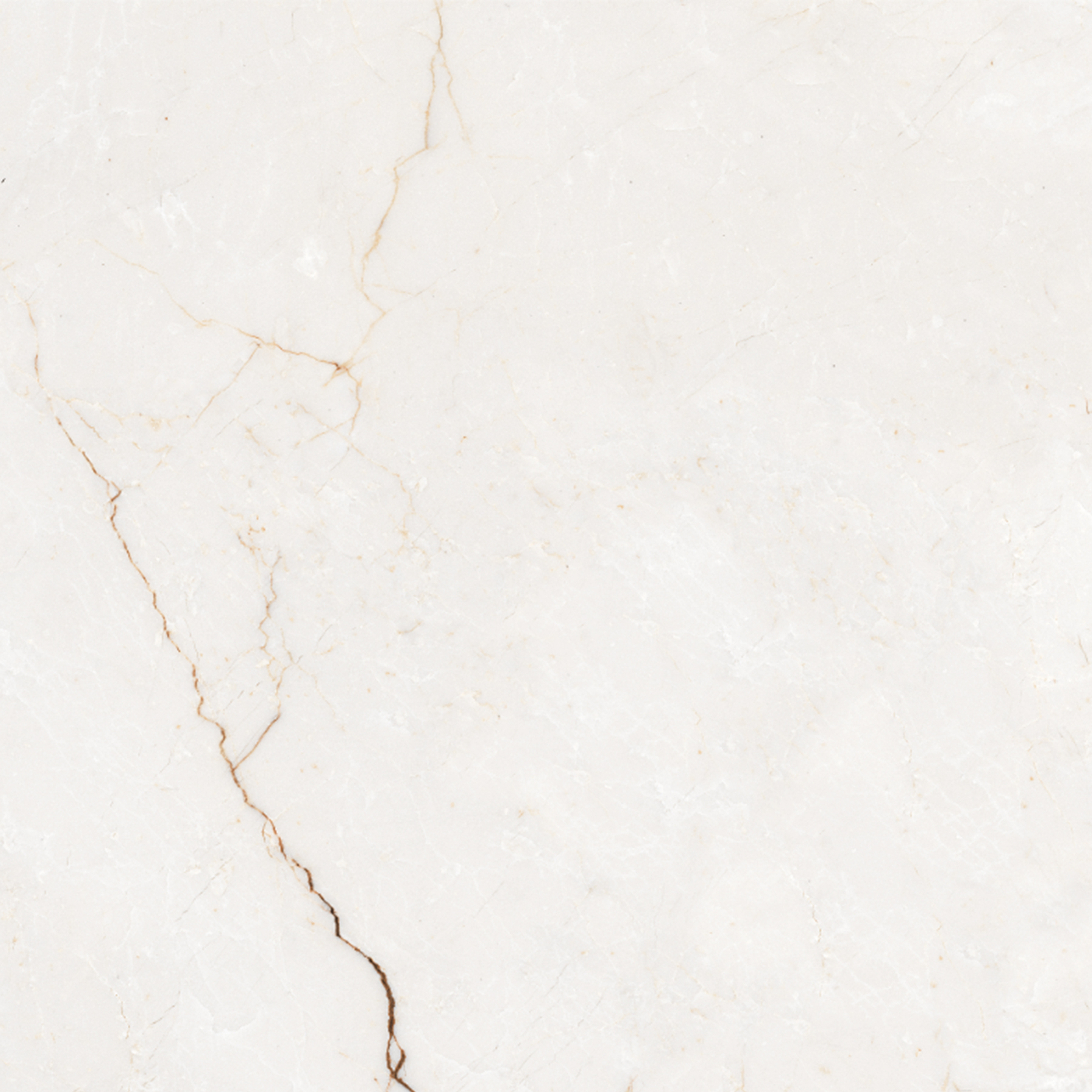 Gres szkliwiony Rosalia Bianco Poler 60x60 Egen