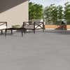 ver variante Color Gris