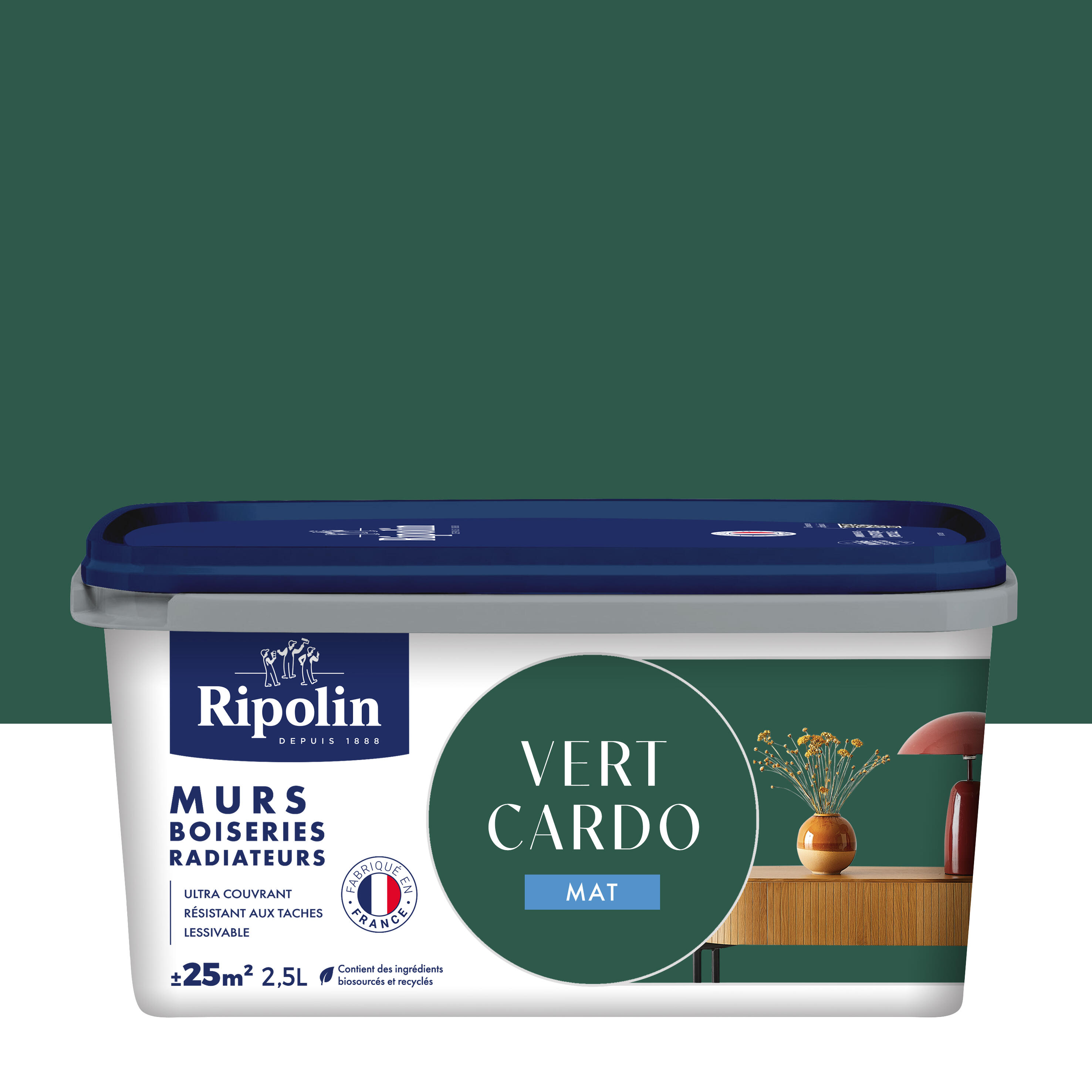 Vert cardo