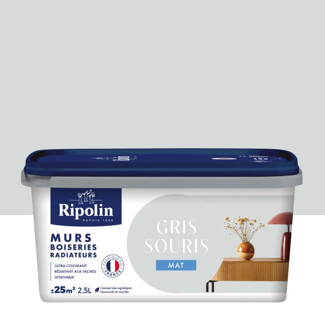 Peinture mur, boiserie, radiateur gris souris mat RIPOLIN , 2.5L