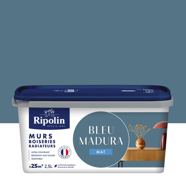 Peinture mur, boiserie, radiateur bleu madura mat RIPOLIN , 2.5L