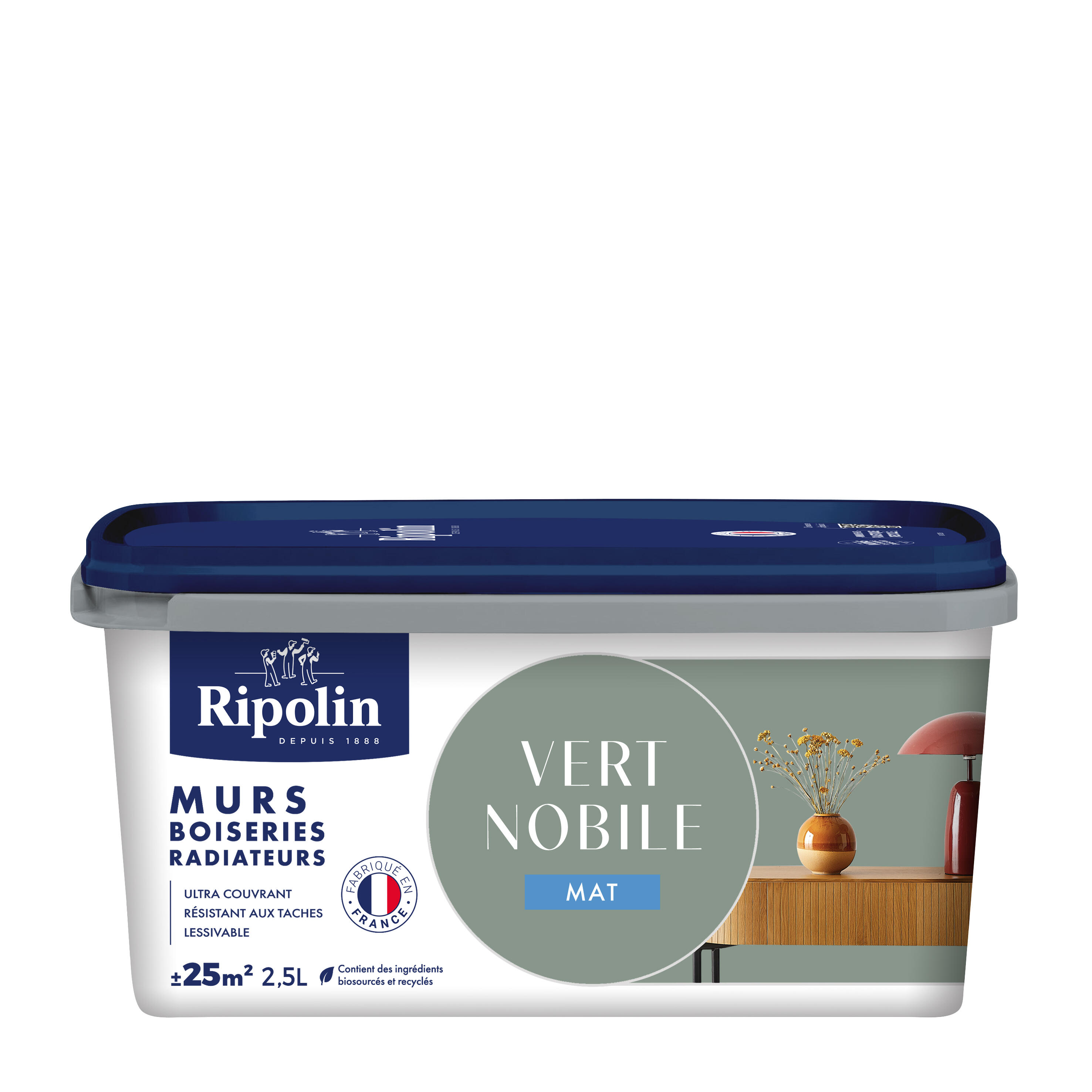 Peinture mur, boiserie, radiateur vert nobile mat RIPOLIN , 2.5L - 6