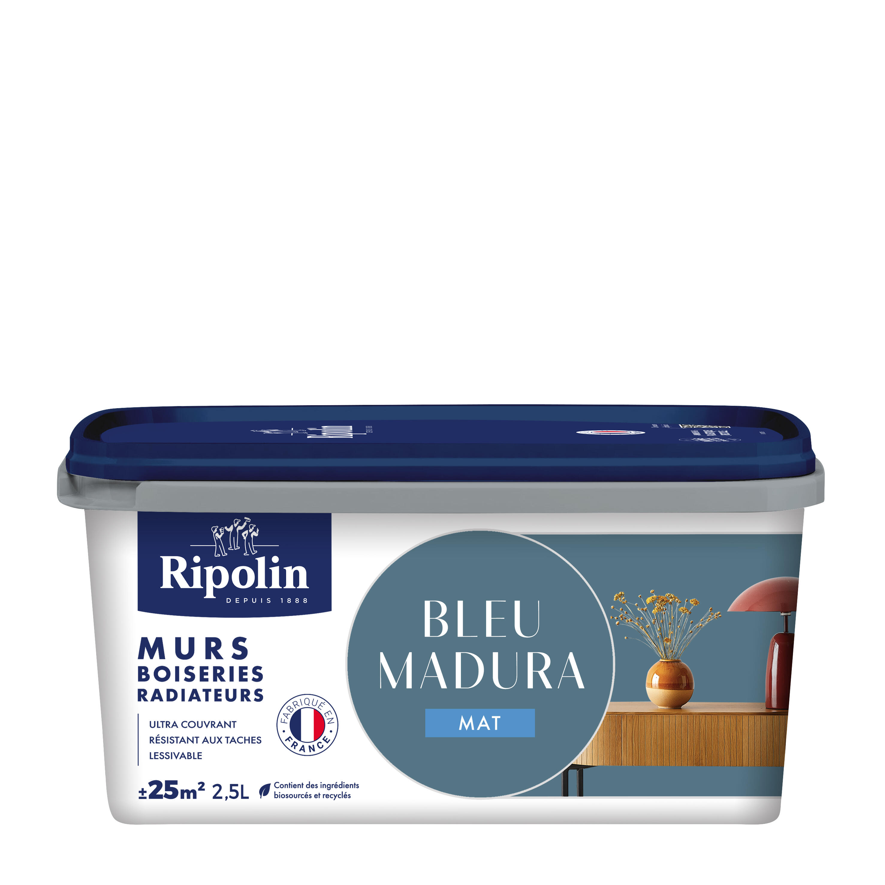 Peinture mur, boiserie, radiateur bleu madura mat RIPOLIN , 2.5L - 8